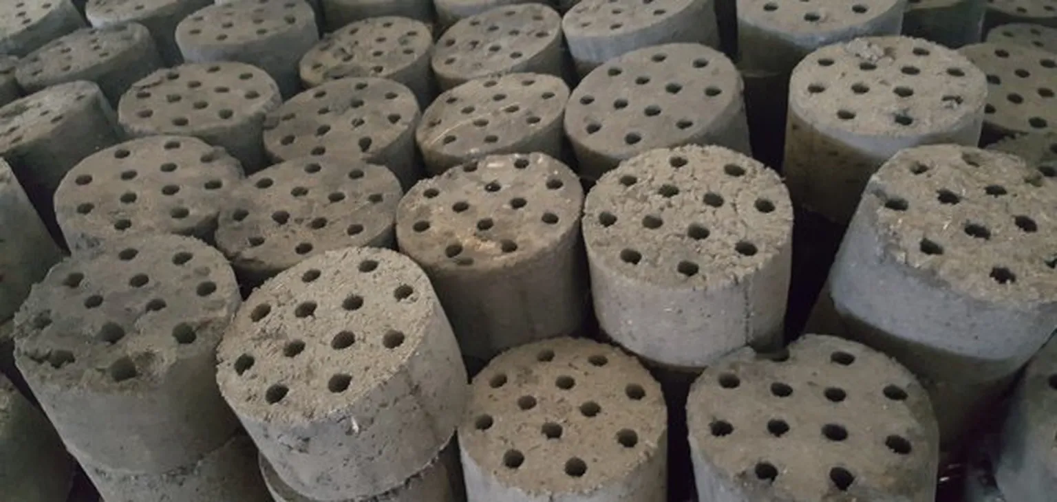 Type of bricks