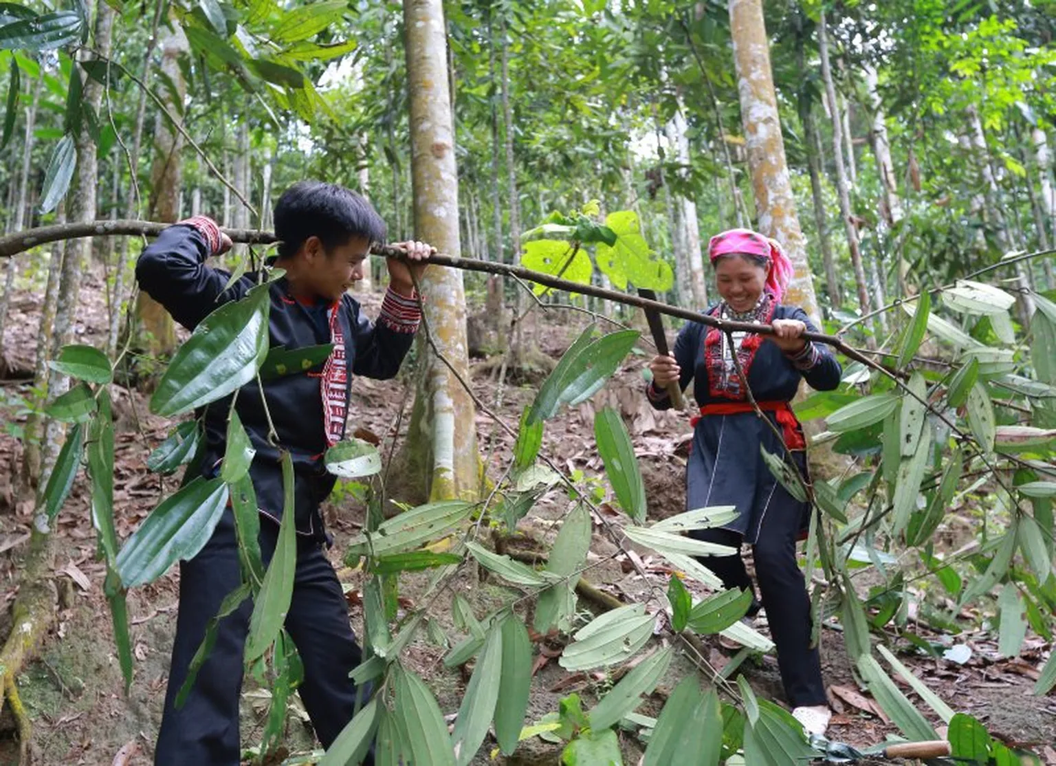 May and Sieu now share the workload for their cinnamon production business