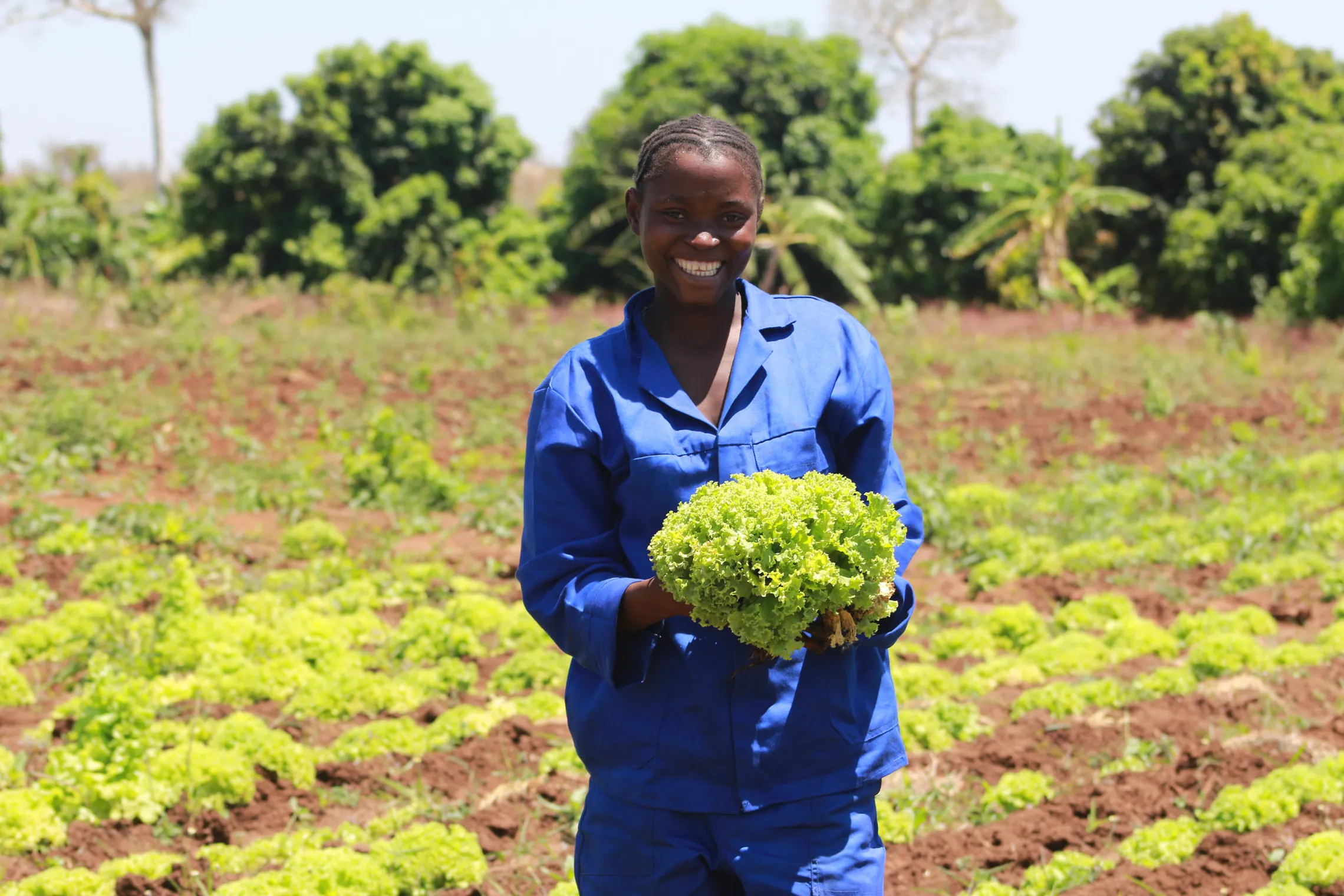 Esmenia with one of her harvested lettuces