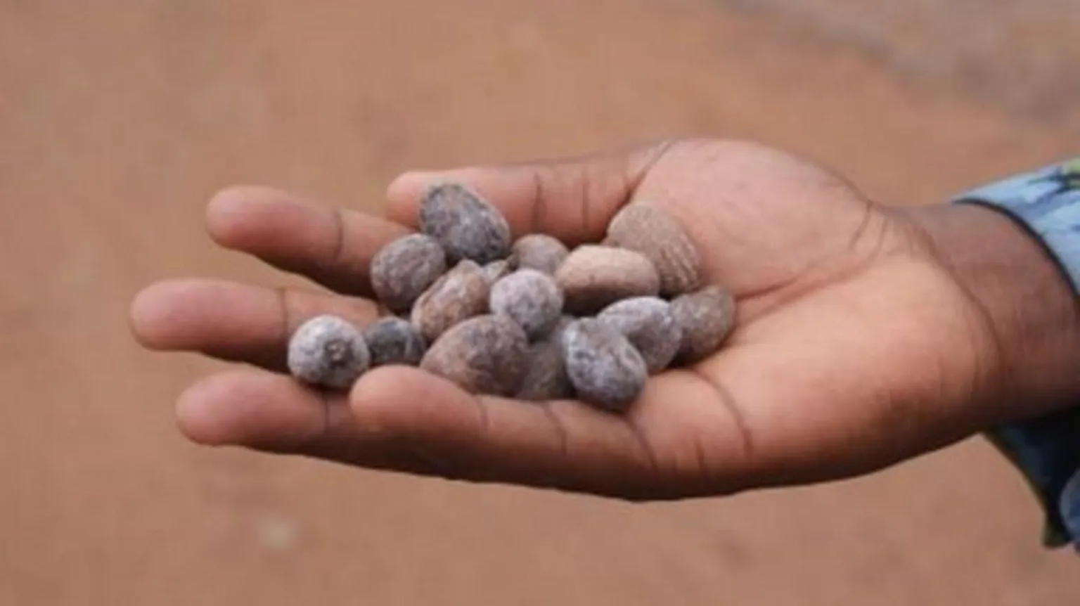 Loans for caterers: Creating better markets for small farmers