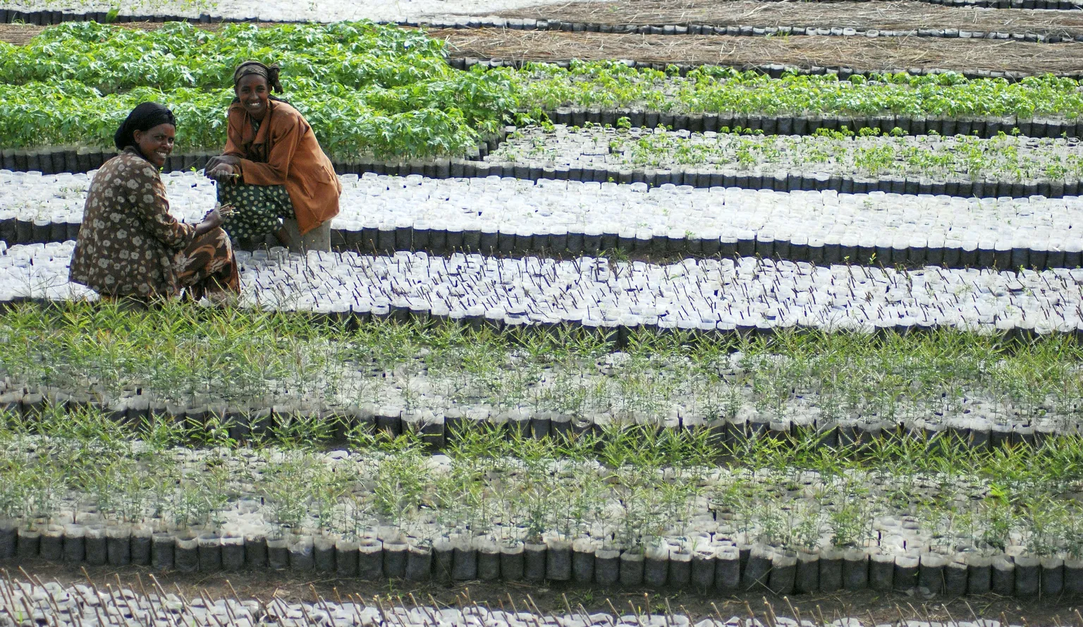New Euro 6m programme Smart Water for Agriculture