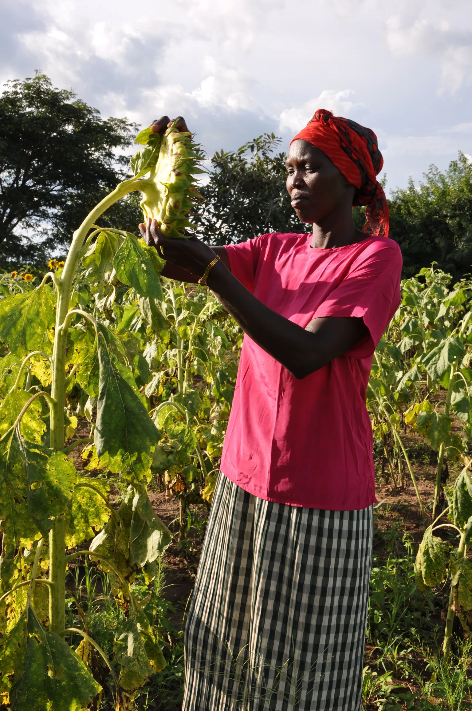 Stories of bold Ugandan women