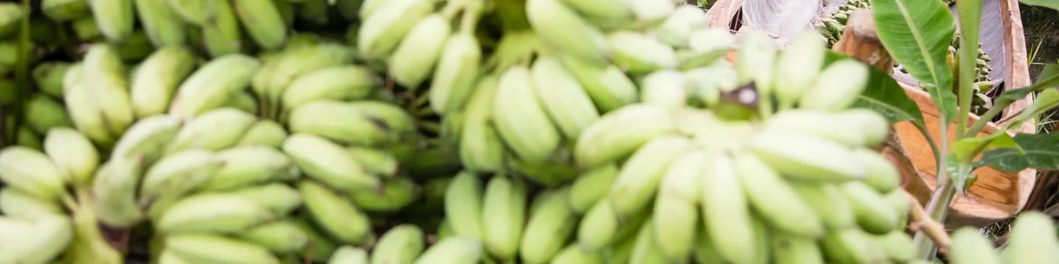Supporting companies that bring healthier food to the market