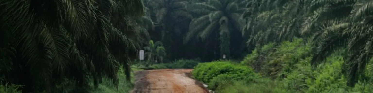 Exploring ways to improve access to finance for oil palm smallholders