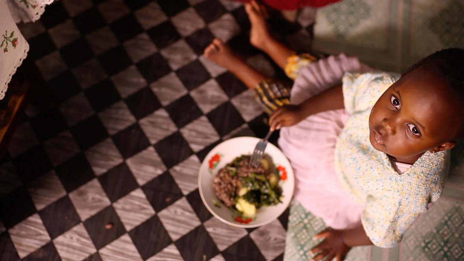 The sky’s the limit: working towards sustainable nutrition for all
