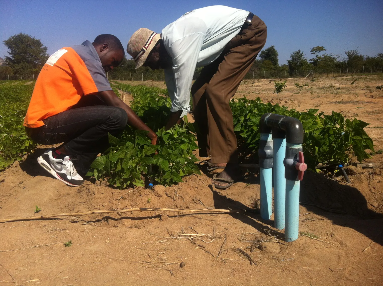 Zimbabwe agriculture extension services receive a major boost