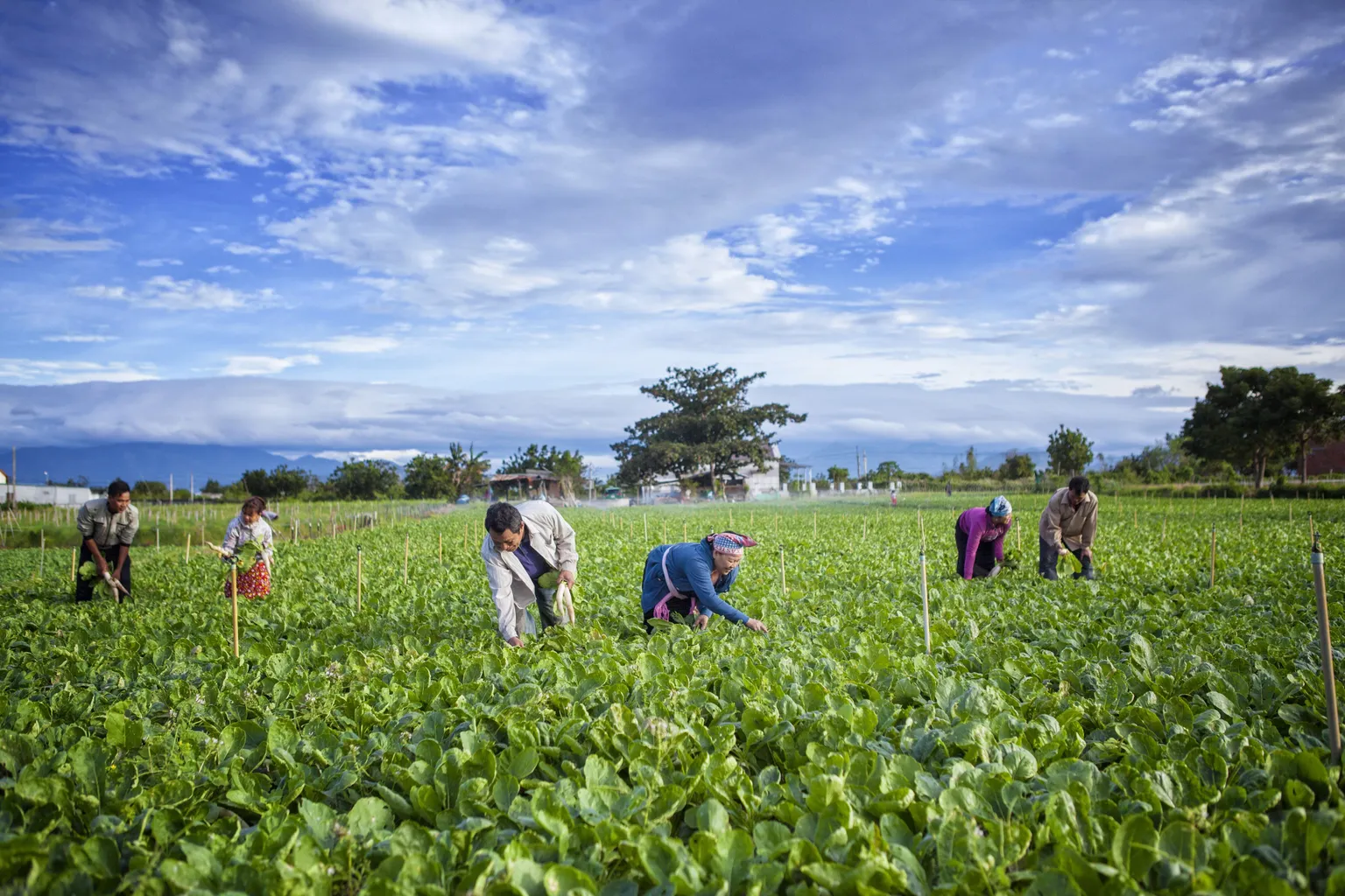 How to set-up business hubs for women entrepreneurs in rural areas
