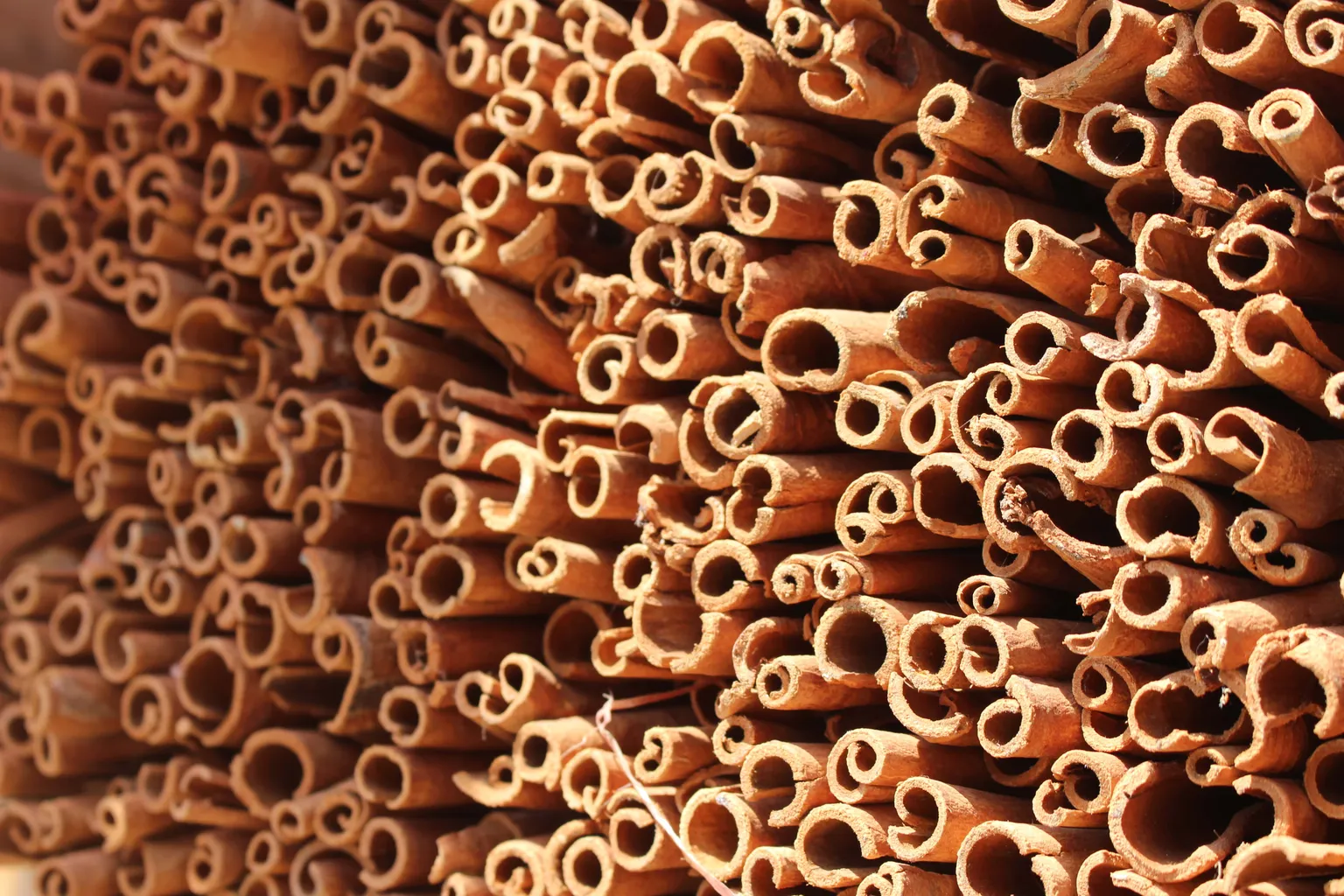 Ms. Trieu Mui Pham, a 94-year old cinnamon farmer, brought the first cinnamon tree to Lao Cai province in 1975. Nowadays, cinnamon production and processing is a booming industry which lifted many households out of poverty. “Cinnamon trees do not only serve as poverty reduction trees, but also as wealth making trees”, says Mr. To Manh Tien, Vice Director of the Department of Agriculture and Rural Development (DARD) in Lao Cai.