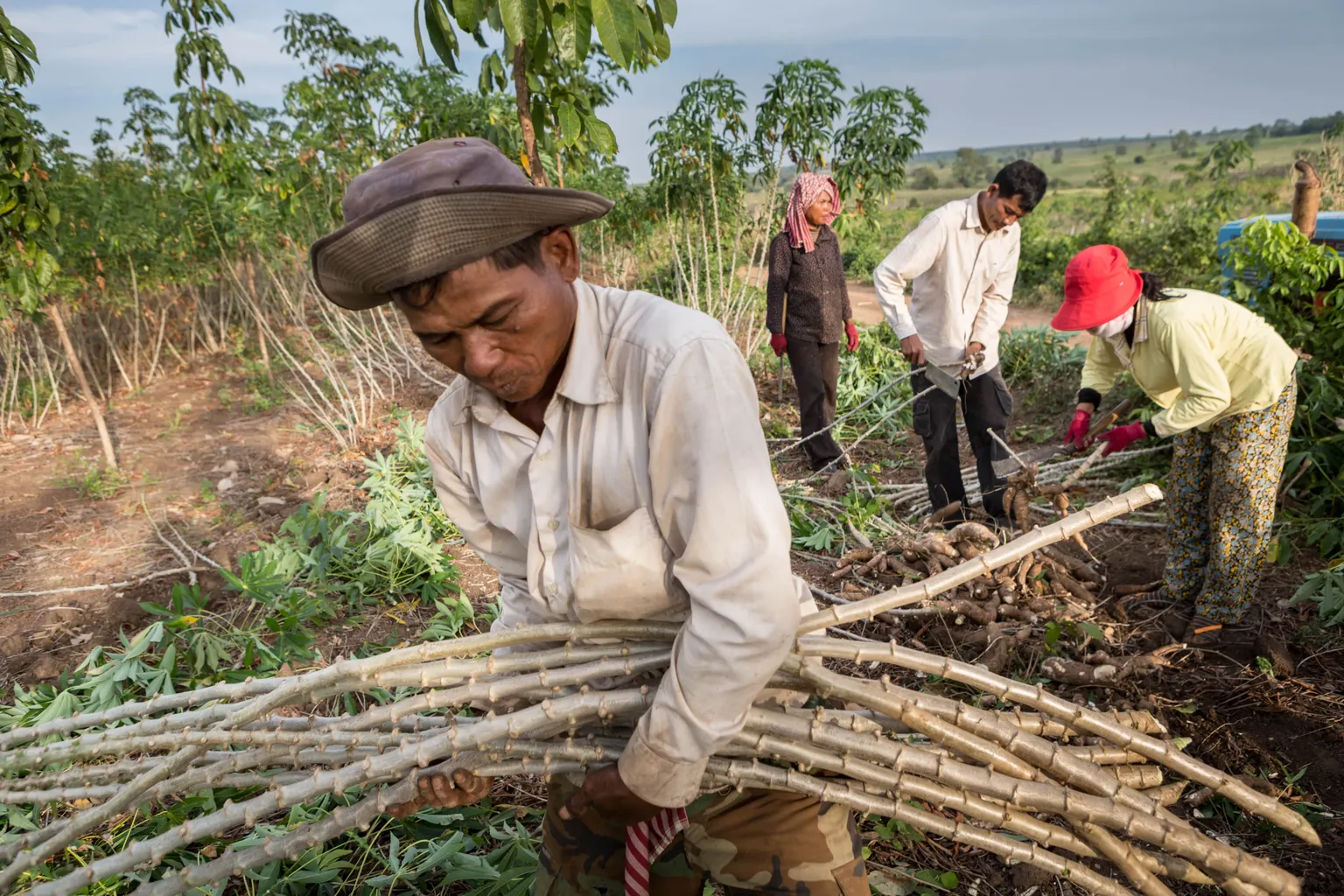 Regional cassava team visits Kampong Cham