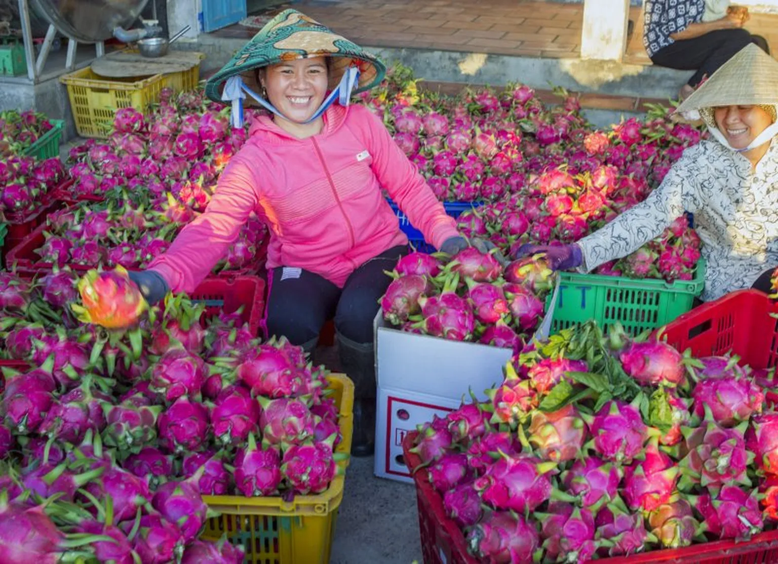 SDG5: Rural women pitch their innovative start-up ideas in Binh Thuan