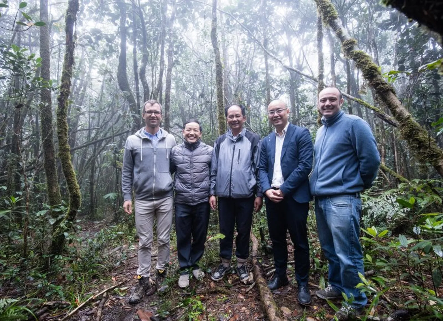 group forest