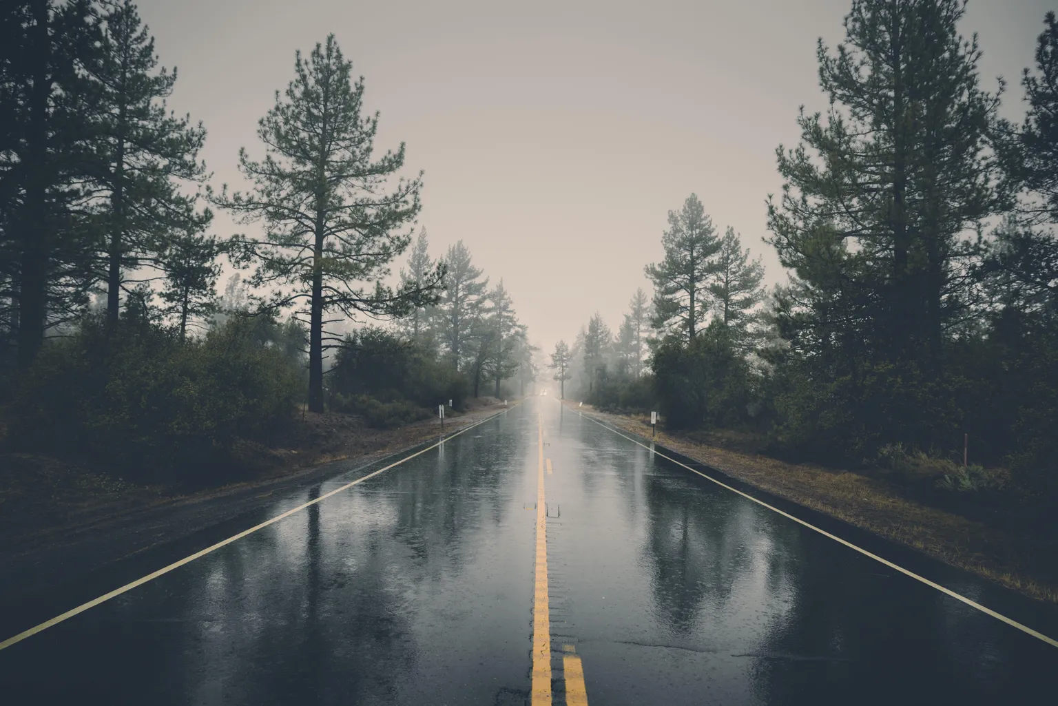 All (WASH) roads lead to Stockholm in August: World Water Week 2018
