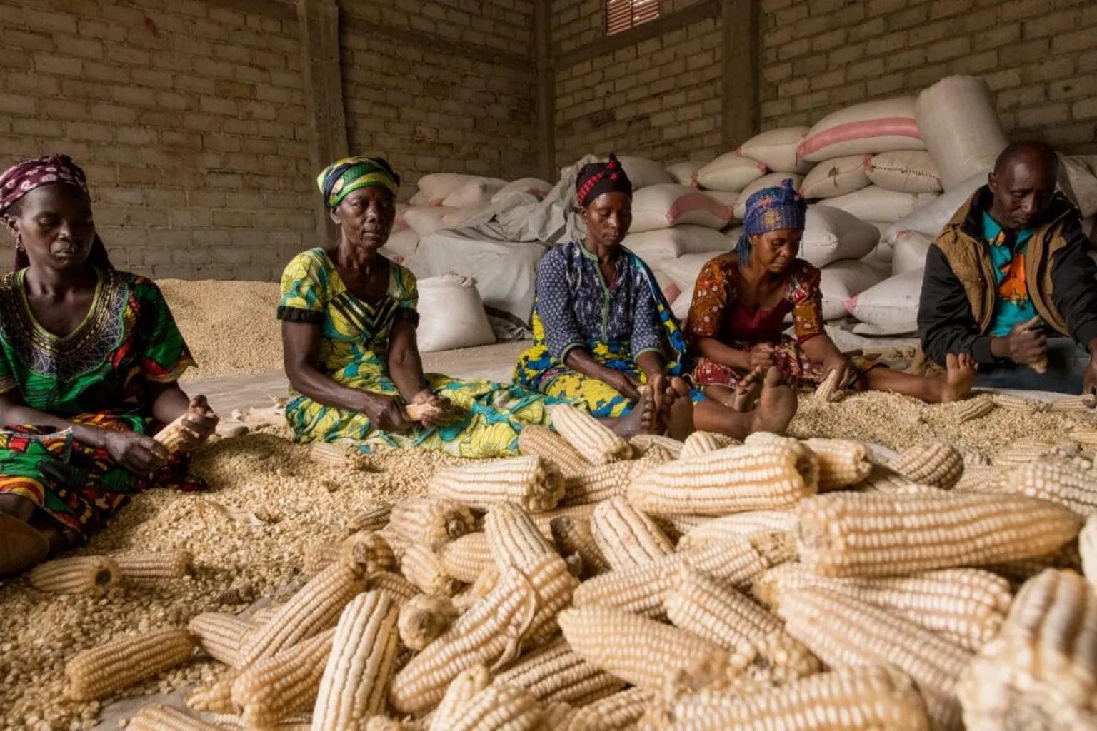 women and maize Nile Fresh Produce Uganda - DFCD partner