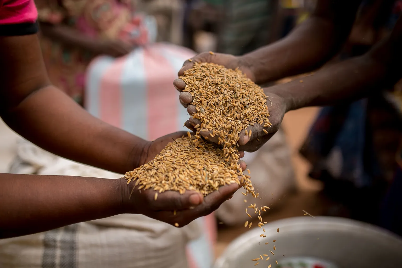 New video: Sustainable Nutrition 4 All - Zambia