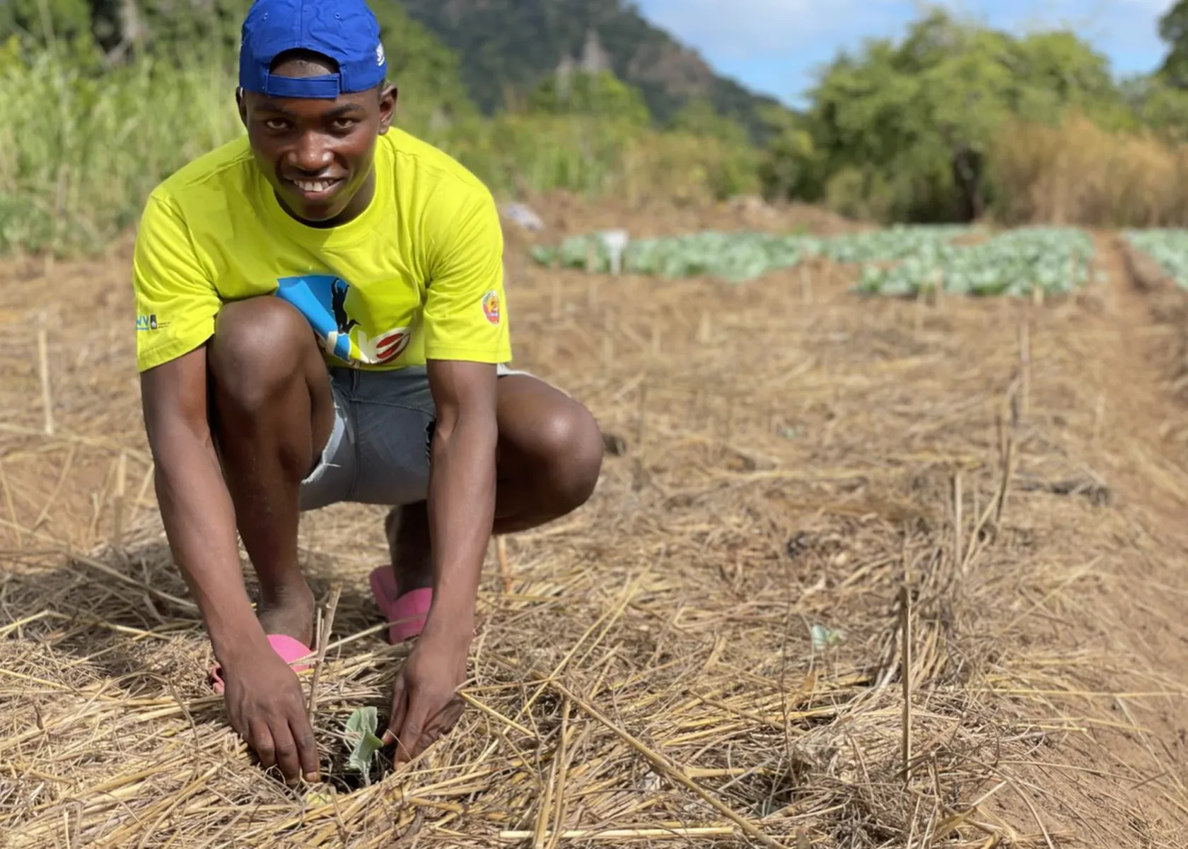 Man in a yellow shirt and blue cap planting seedlings in a field, with rows of crops and a mountain in the background.