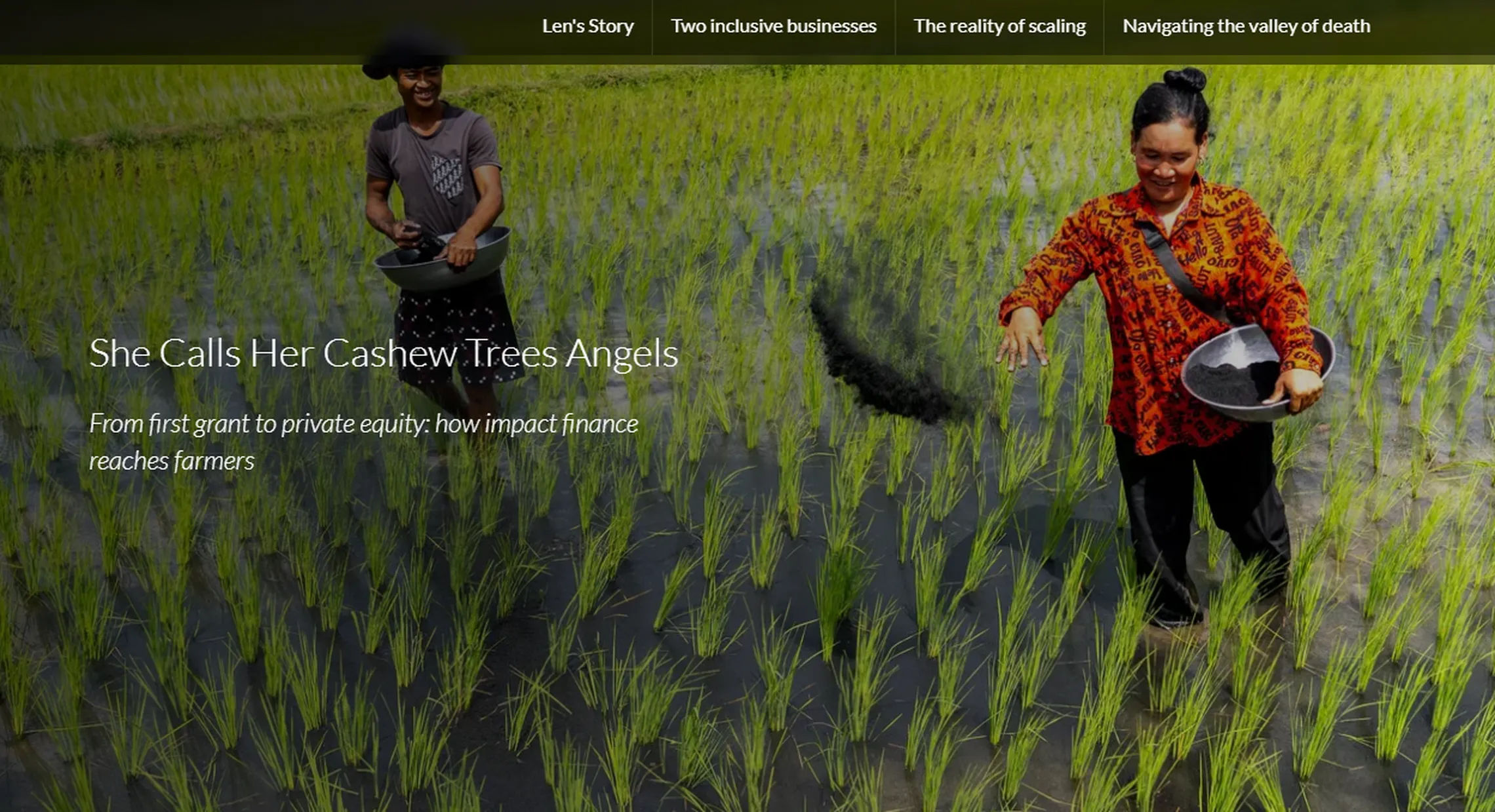 Screenshot of Pageflow IAP-DFCD impact story