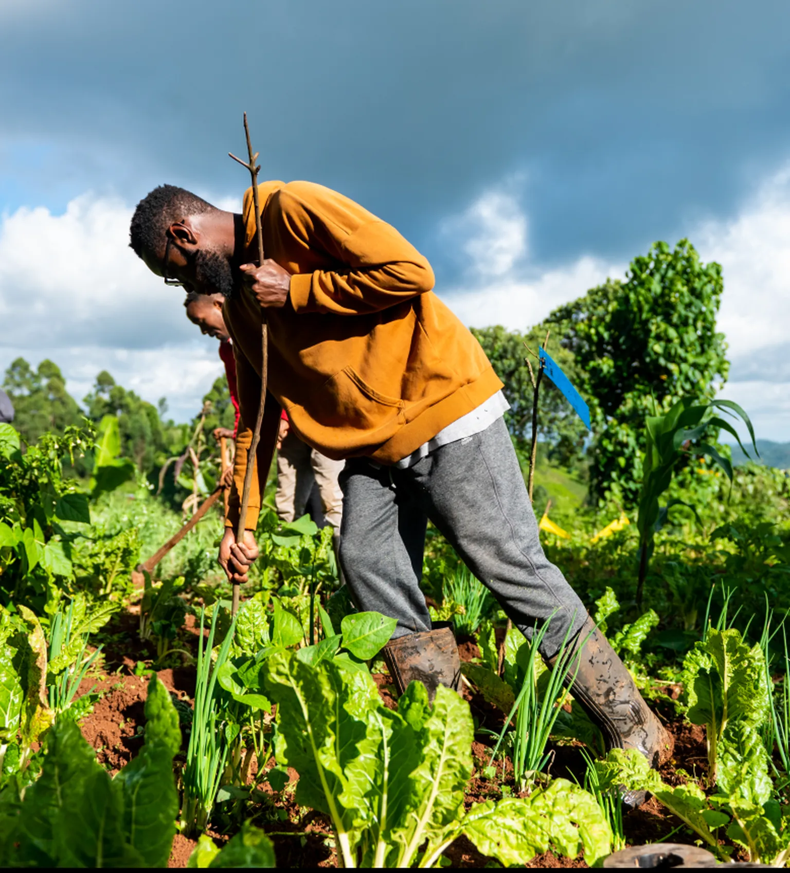 Youths in Agrifood