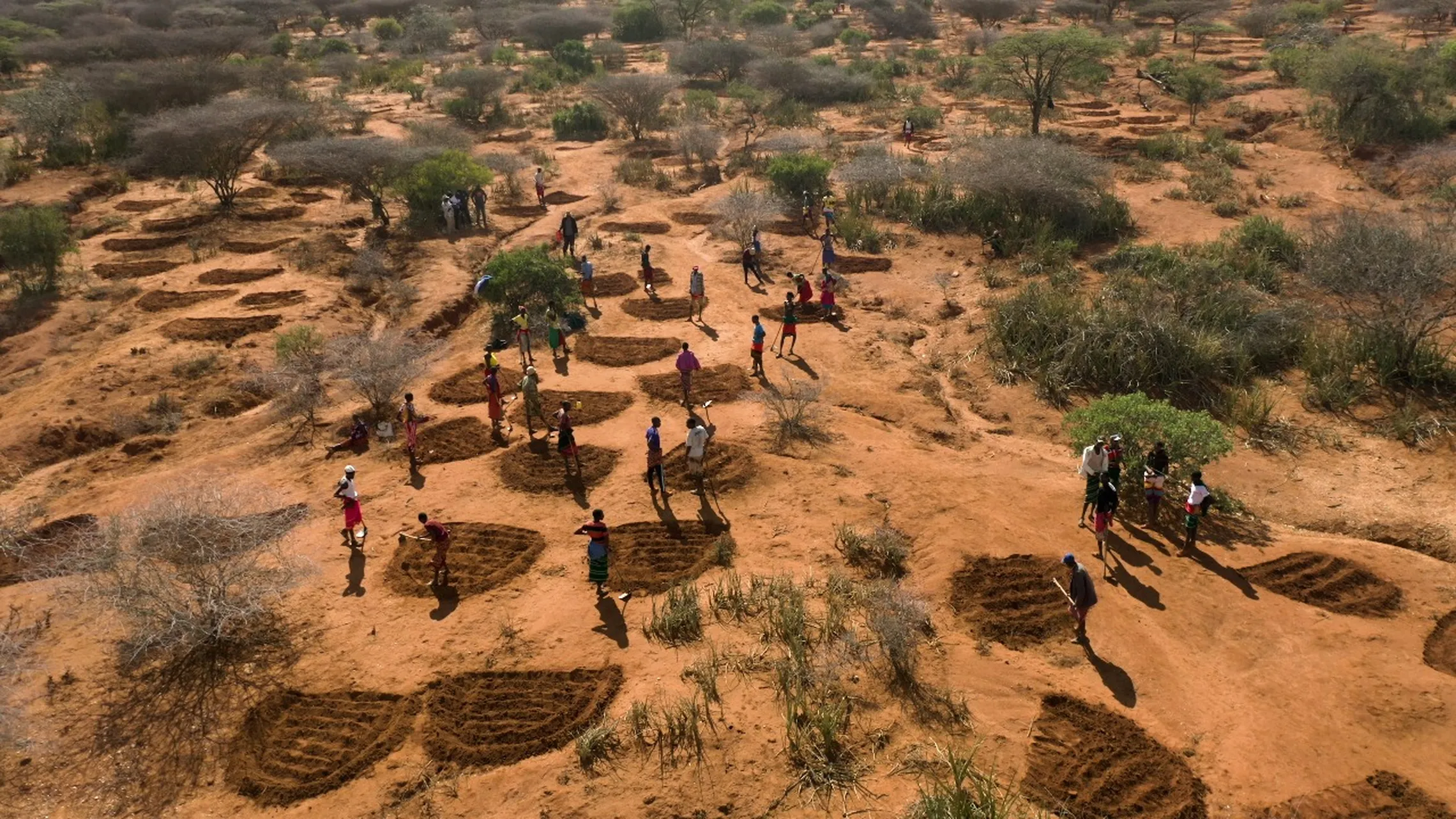 Soil Challenge