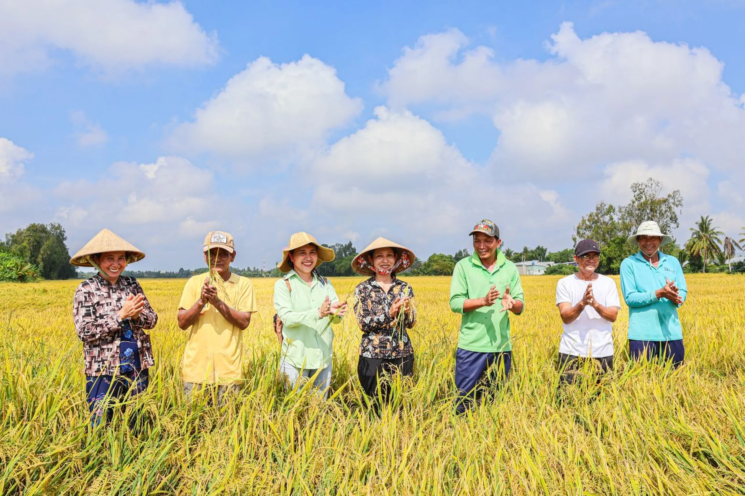 Group of people smiling and clapping in a vibrant rice field under a blue sky with scattered clouds.
