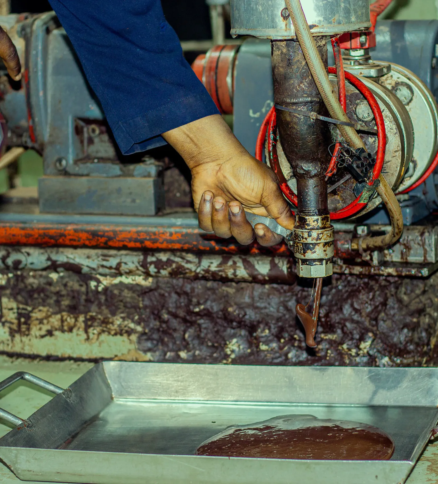 Plantation Industries a DFCD supported cocoa business in Nigeria