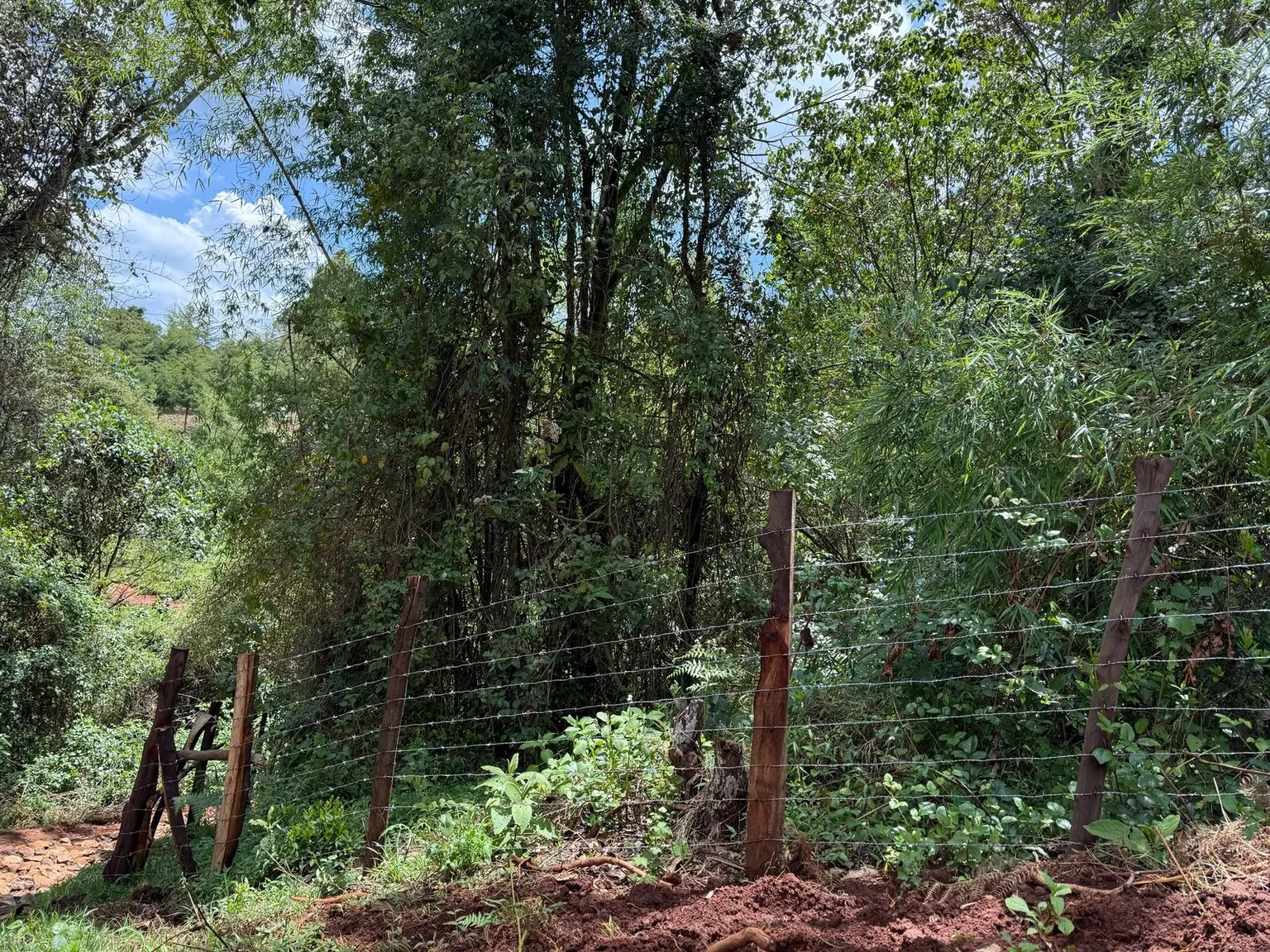 Fencing off spring area