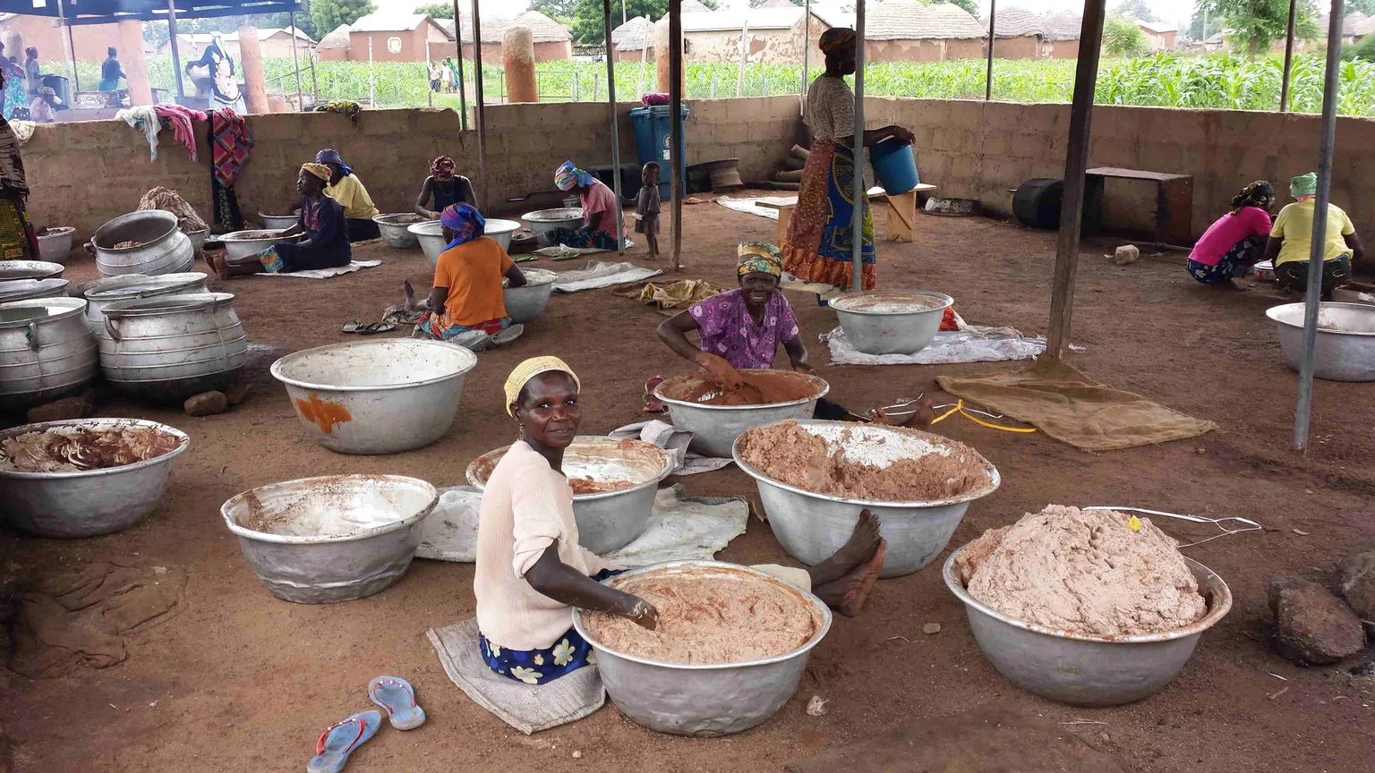 Towards a Malaria-Free Women Sheabutter Cooperative in Northern Ghana