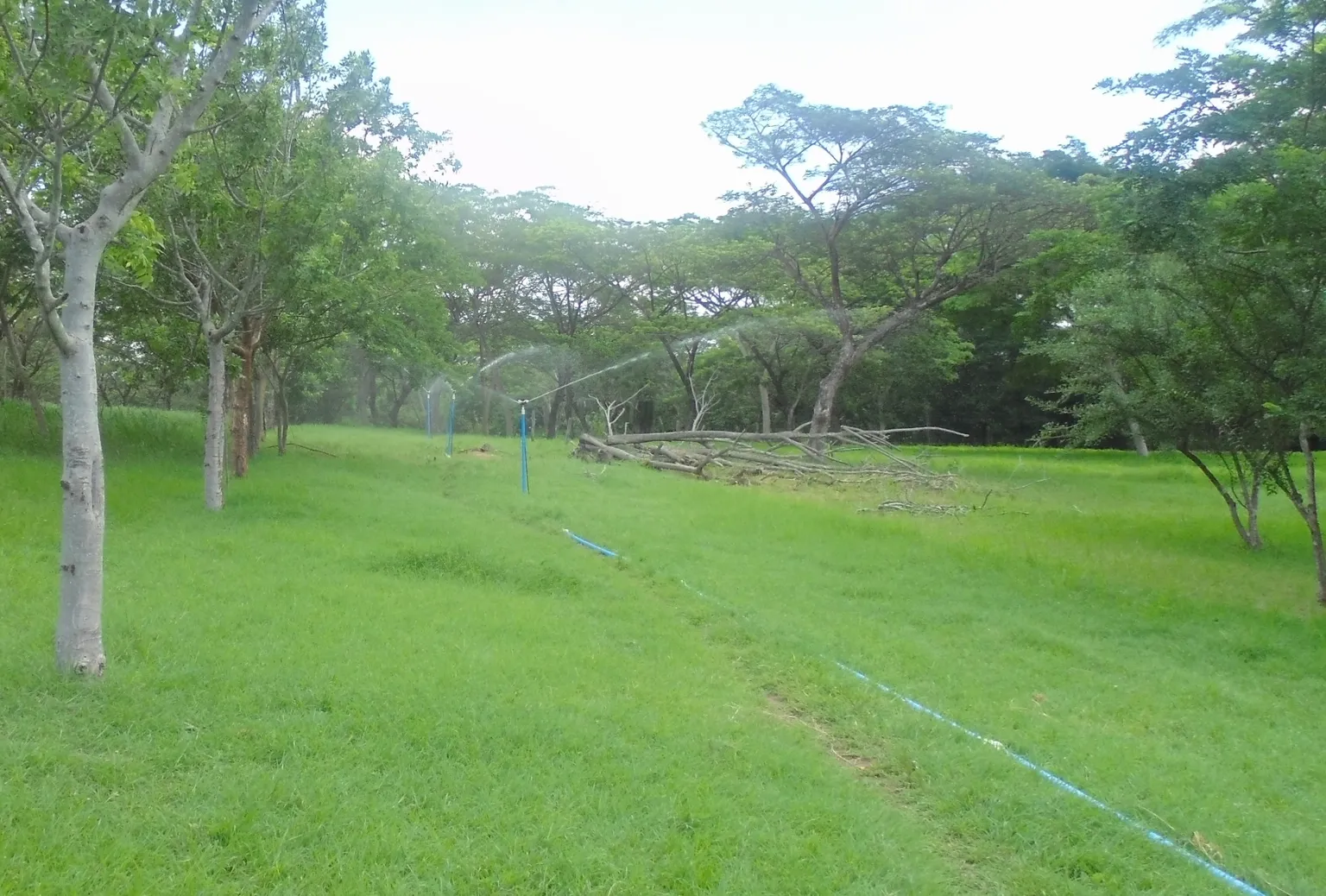 Nicaragua: the power of biogas