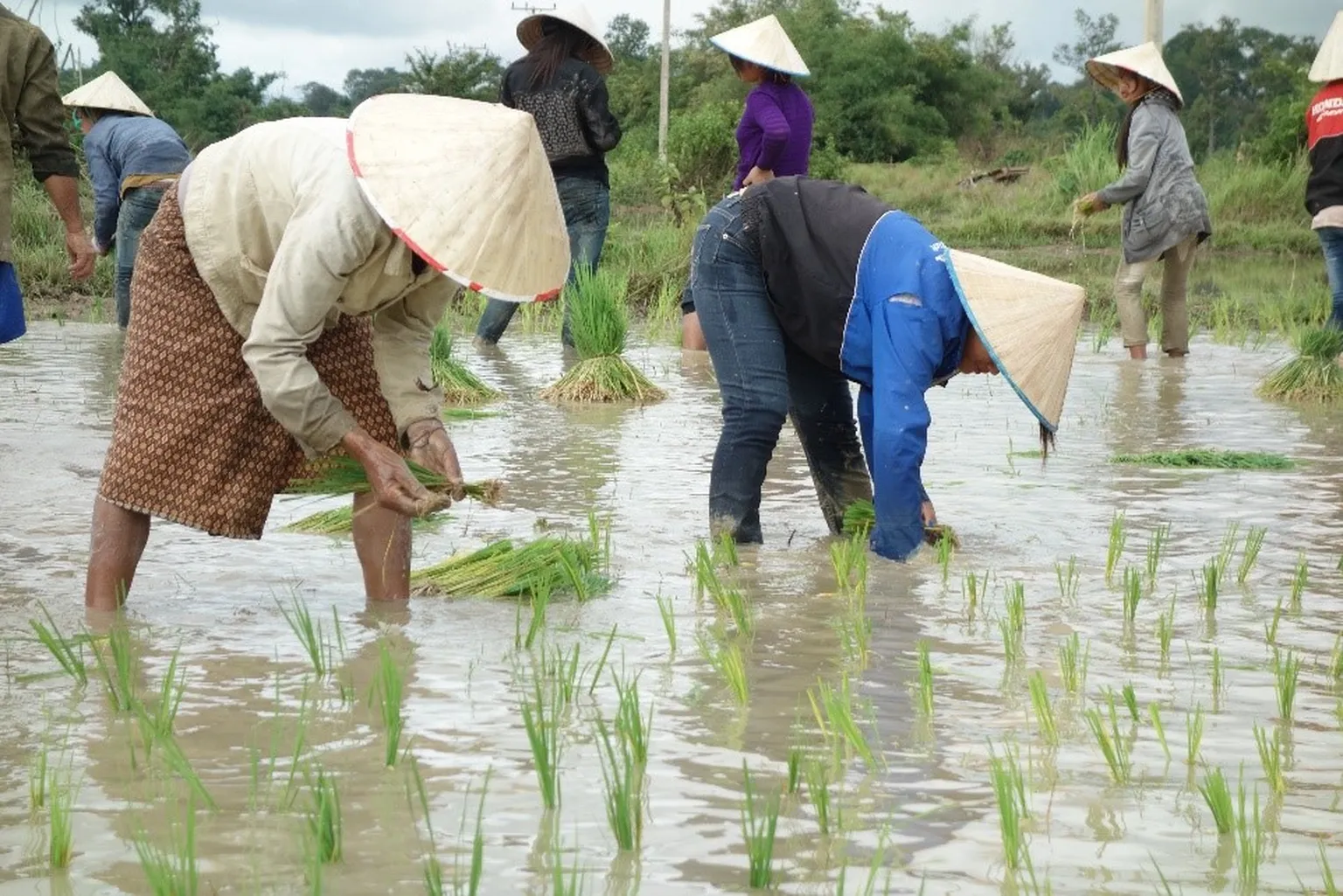 Women’s role in reversing malnutrition