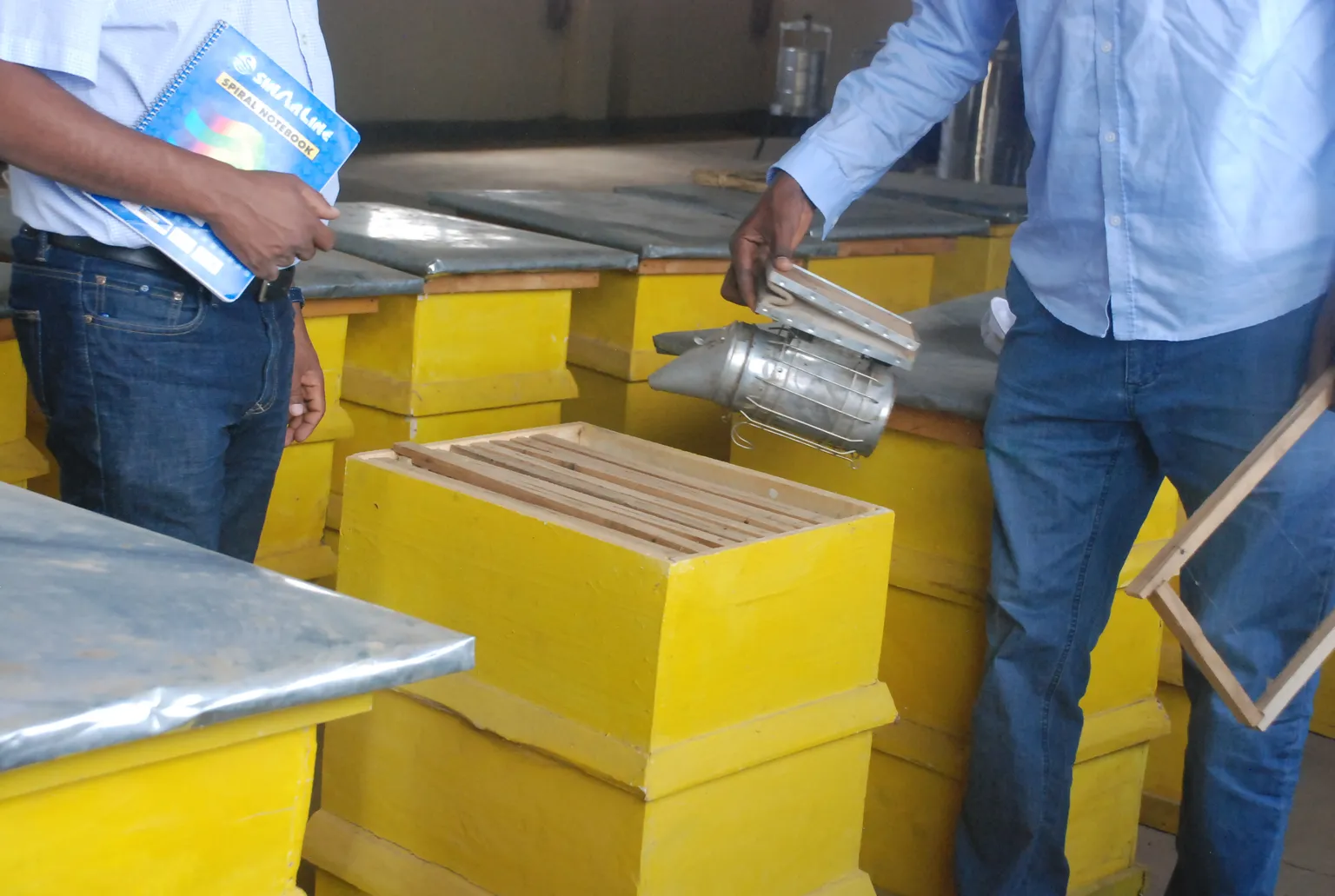 Strengthening apiculture input supply system