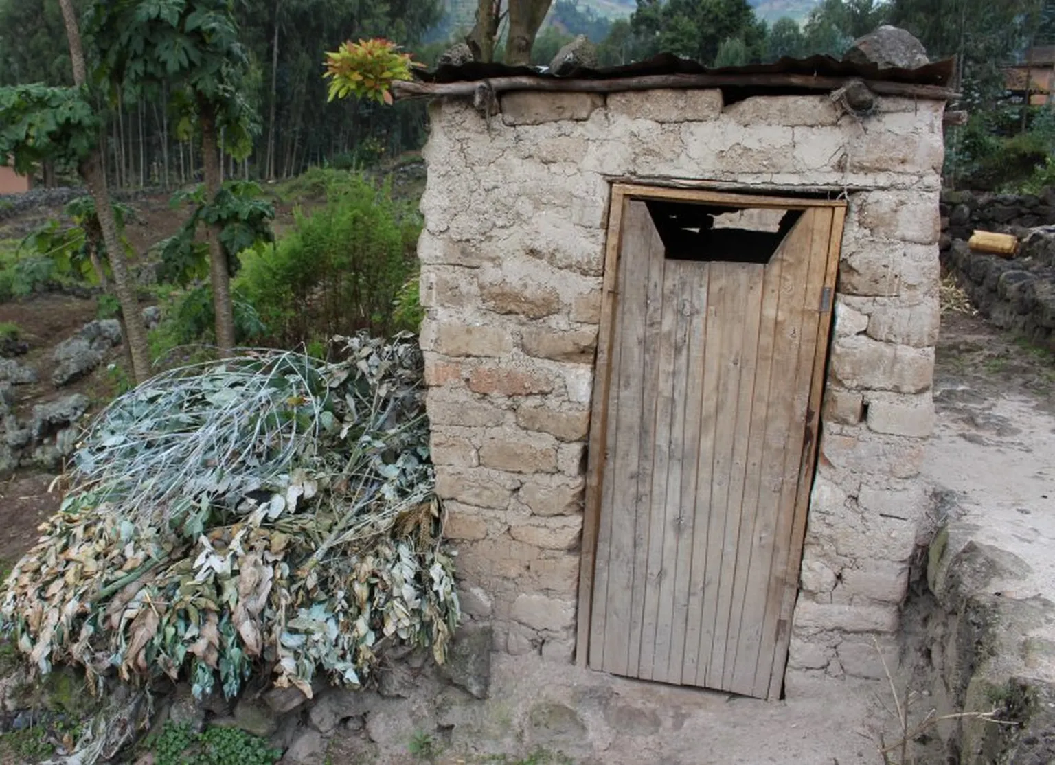 Clementine’s family latrine 