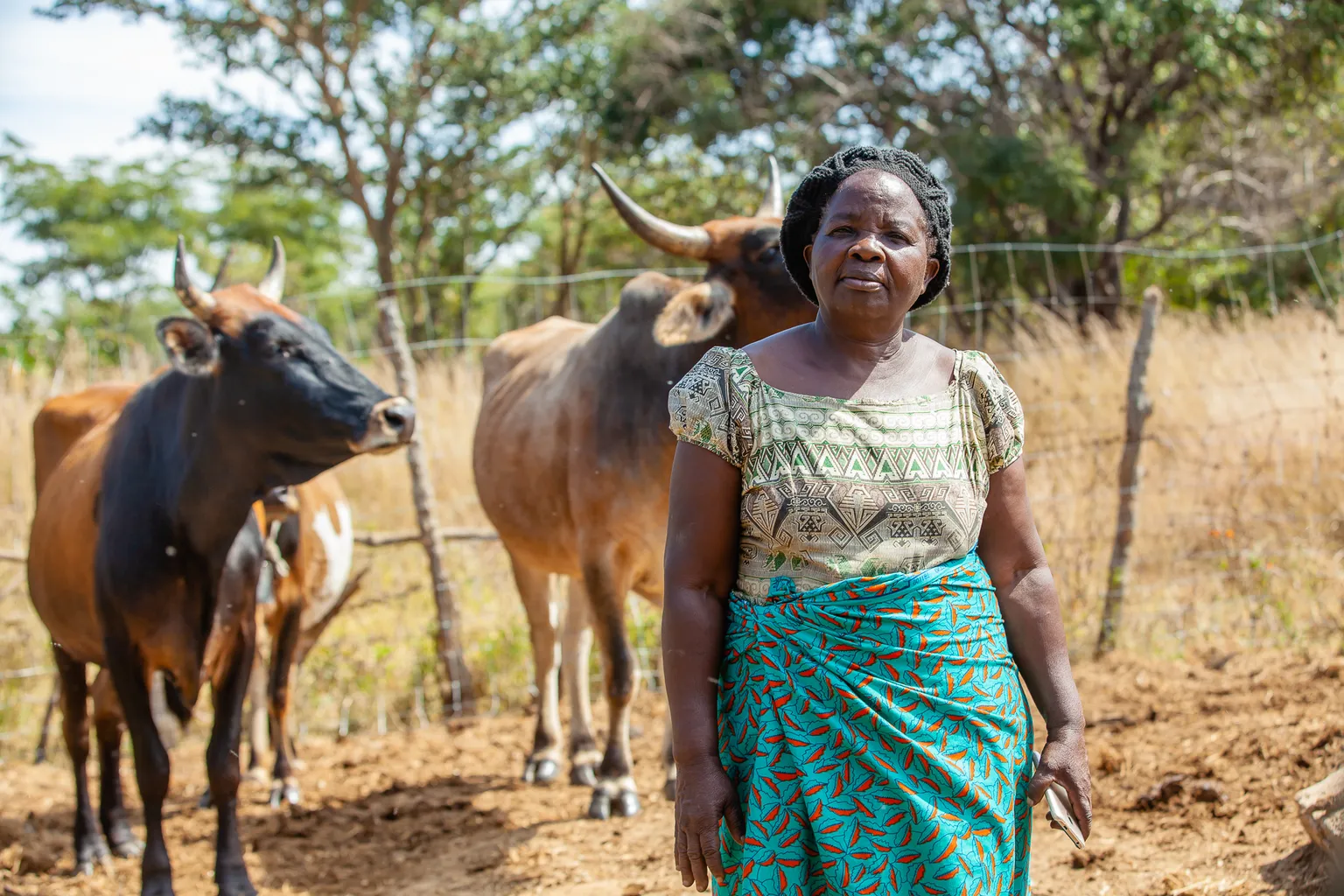 A woman stands in front of two cows in a rural setting, wearing a patterned top and a vibrant skirt. Trees and a fence are visible in the background.