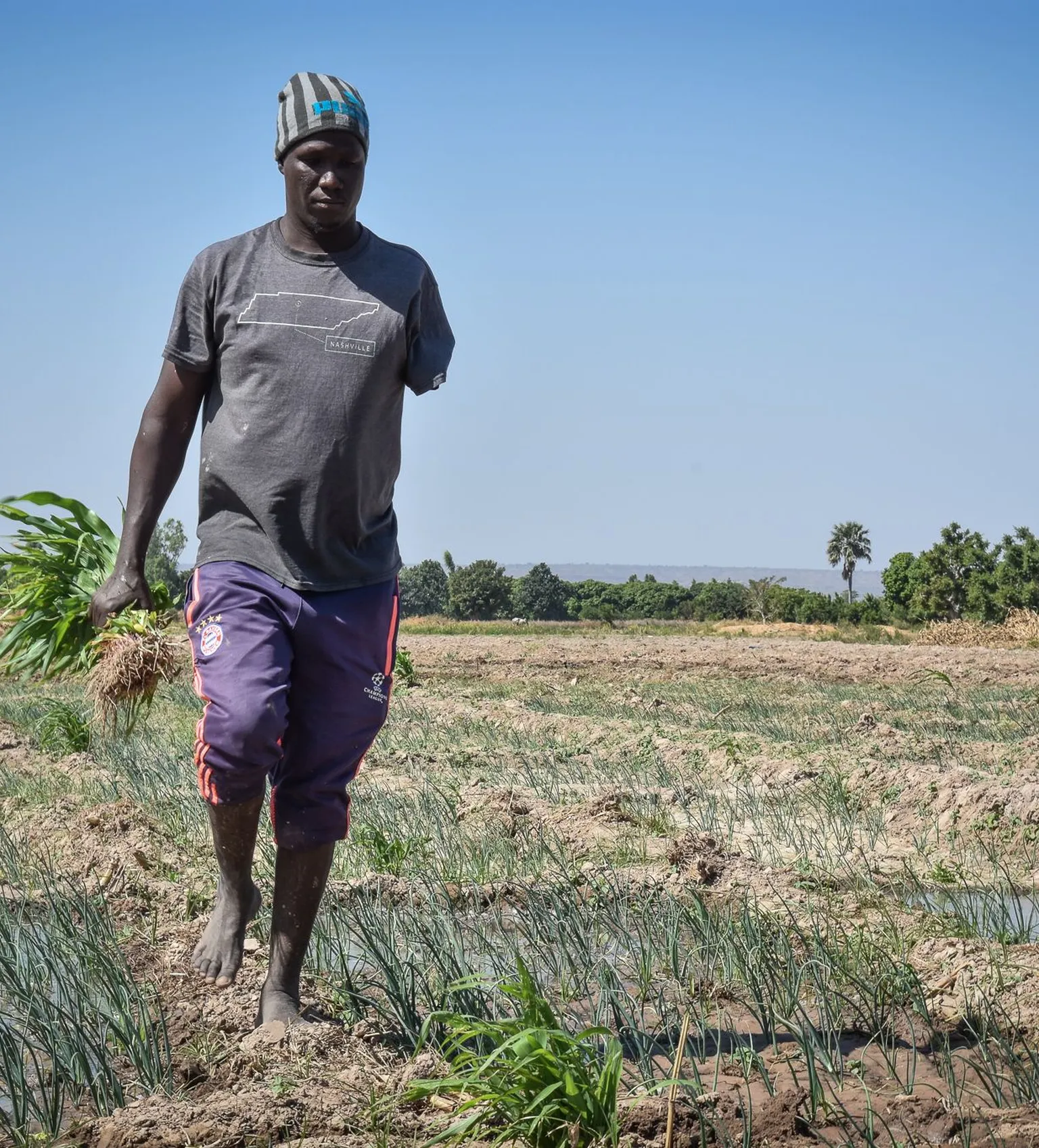 A young farmer in Mali