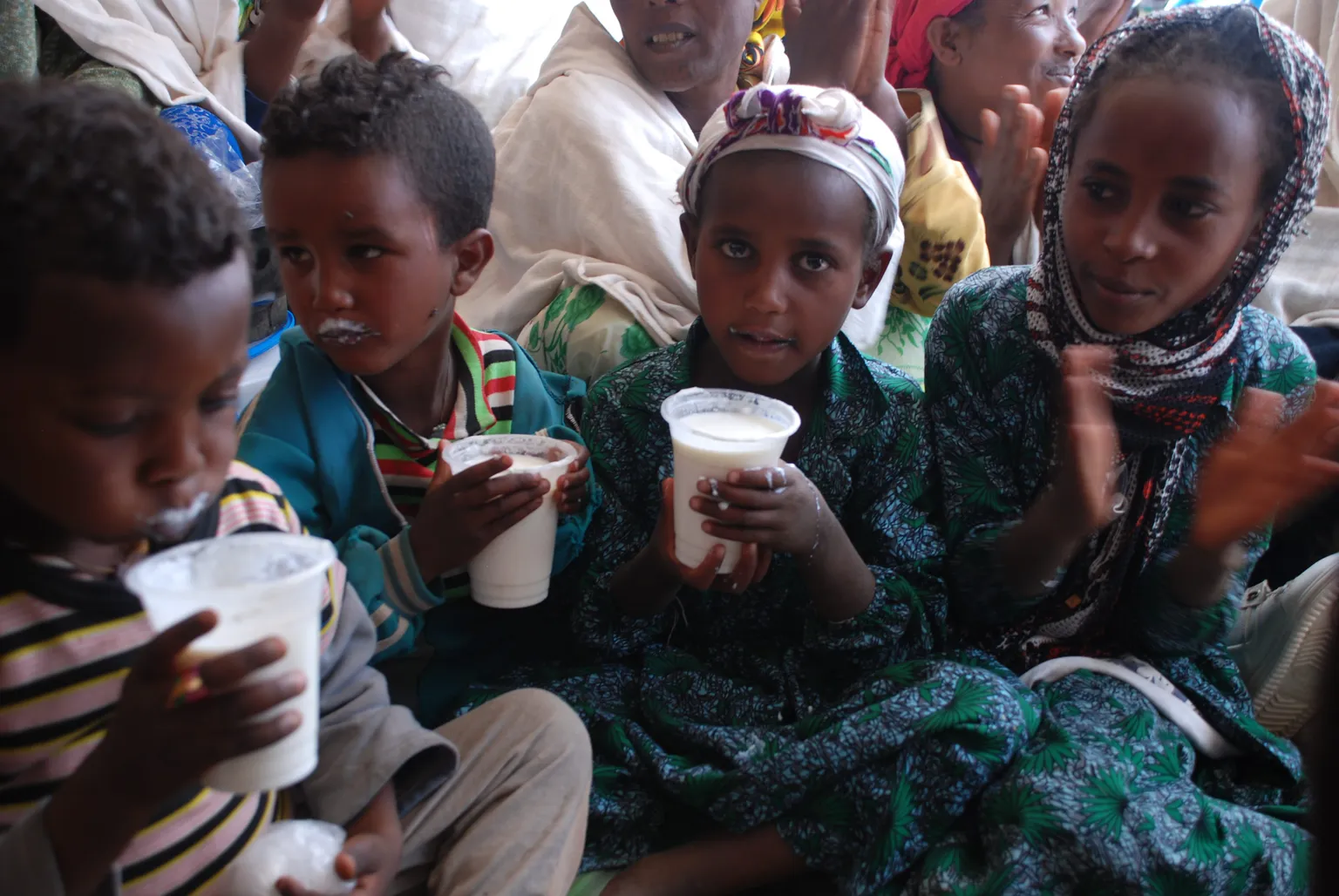 Milk production processes and marketing within the Ethiopian dairy sector need to be enhanced. Through the Enhancing Dairy Sector Growth in Ethiopia (EDGET) project, SNV is supporting smallholder dairy farmers in addressing these challenges.