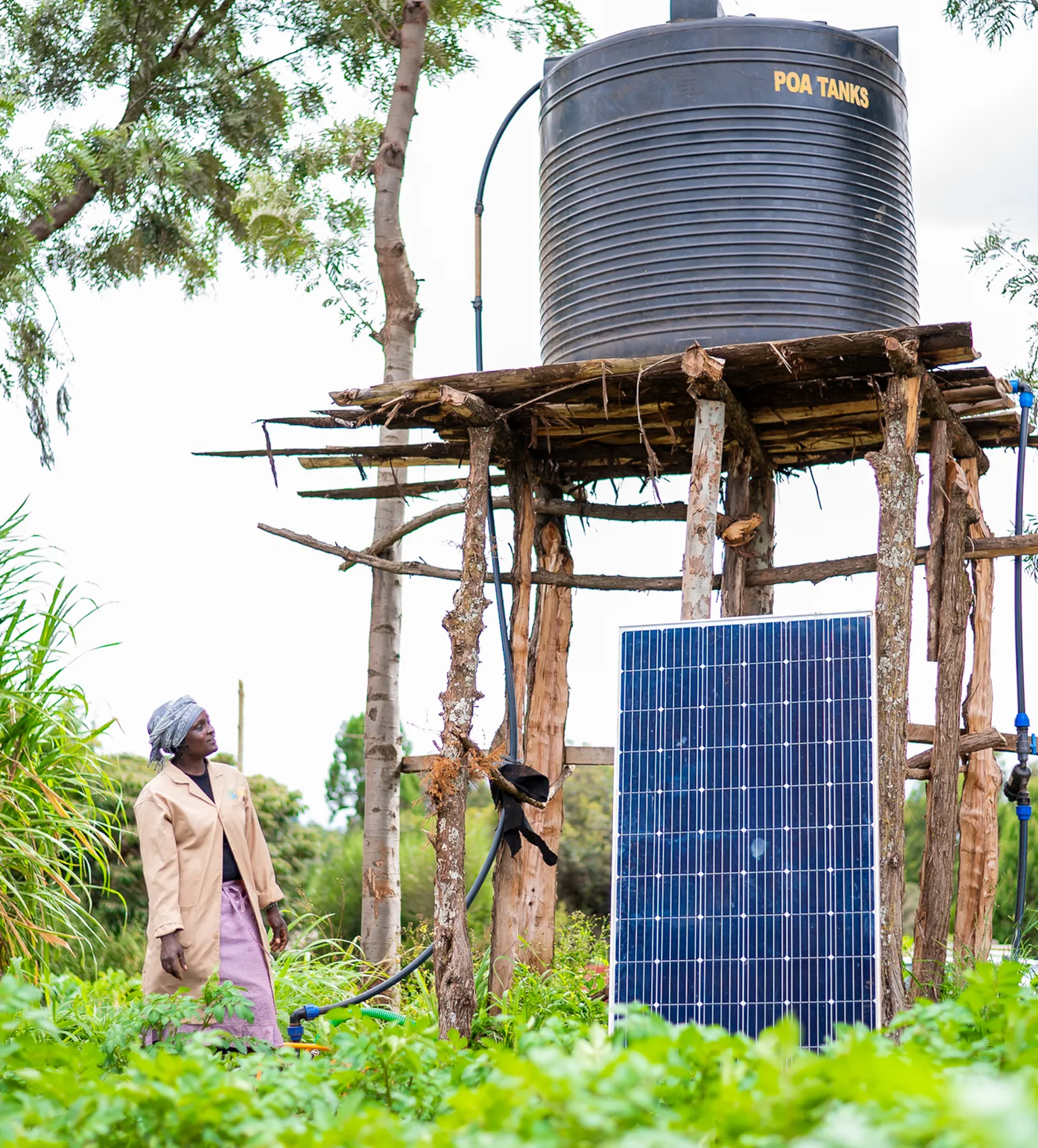 A farmer using solar energy