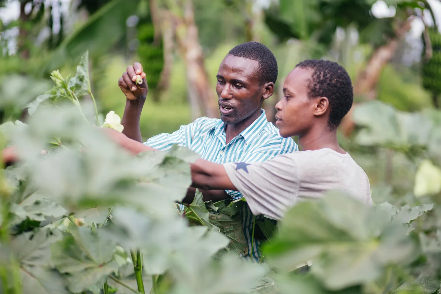 Climate, business and landscapes: mobilising large-scale investment for smallholder farmers