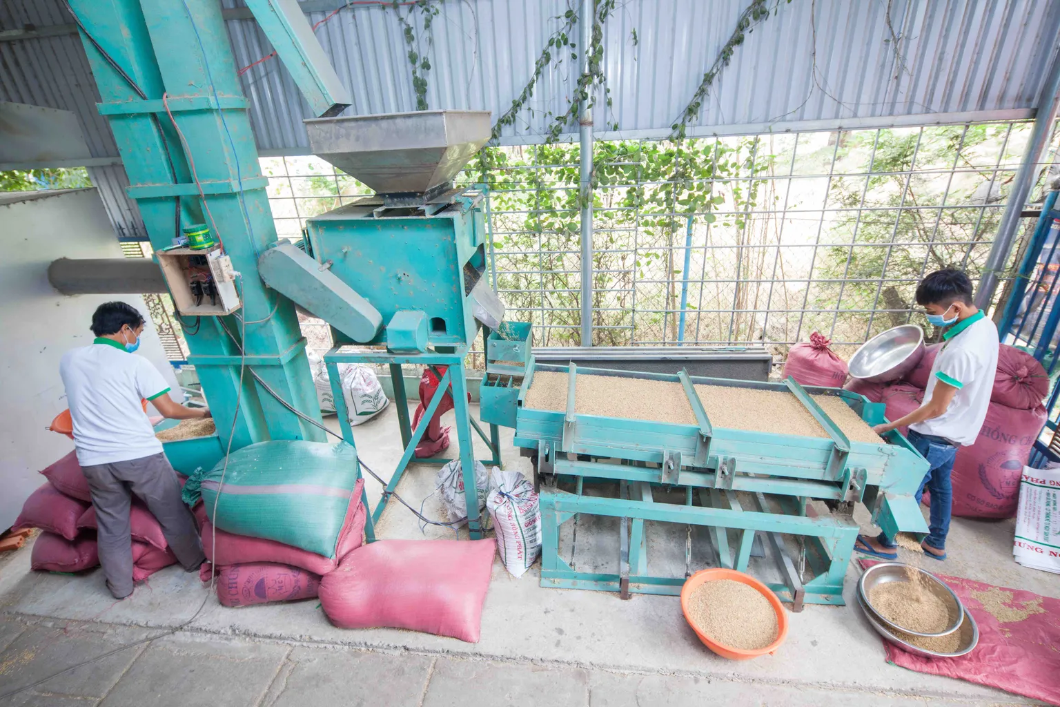 Grain Sorter