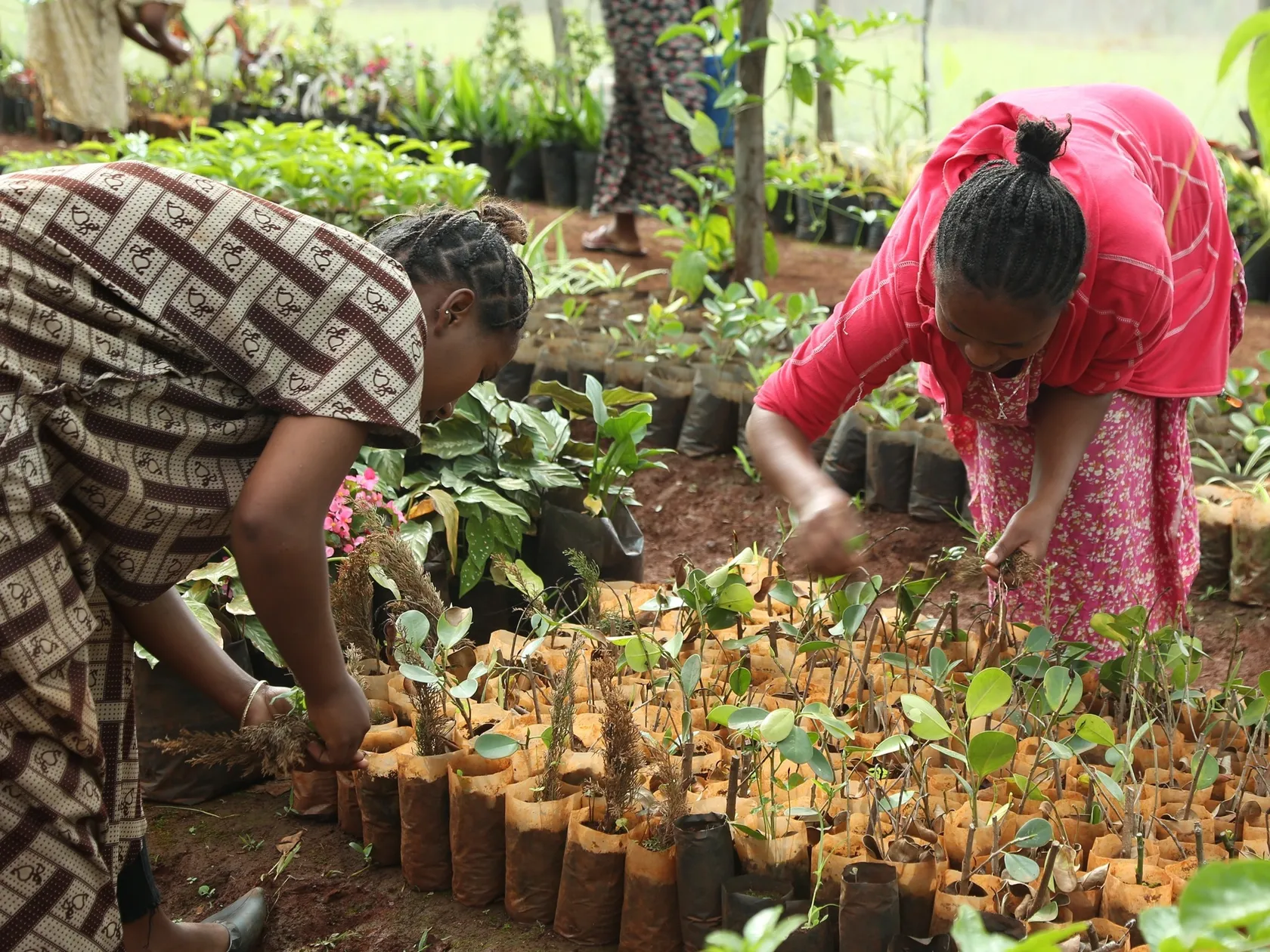 Young women entrepeneurs in Ethiopia