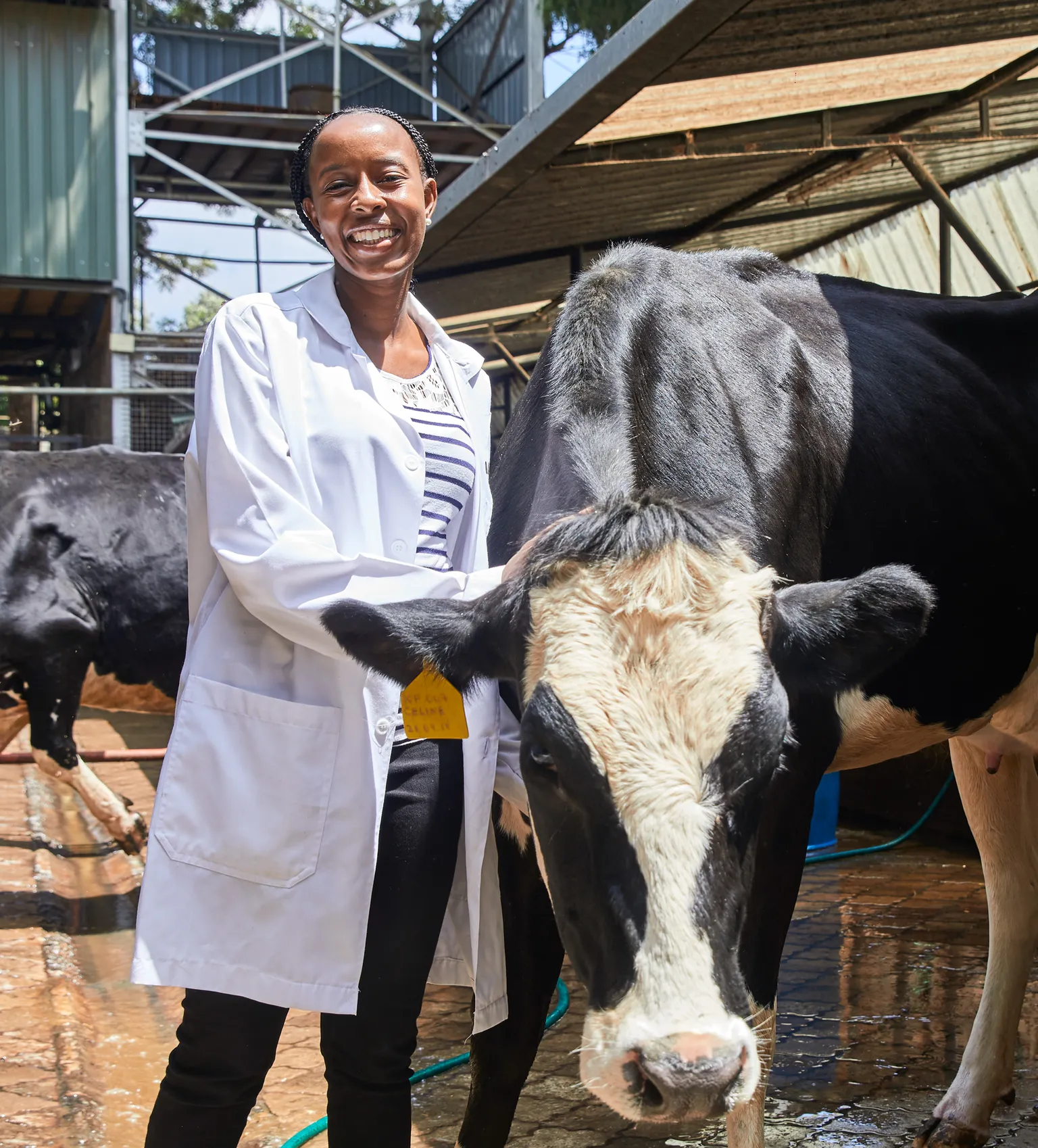 BioFoods DFCD supported company Kenya 1