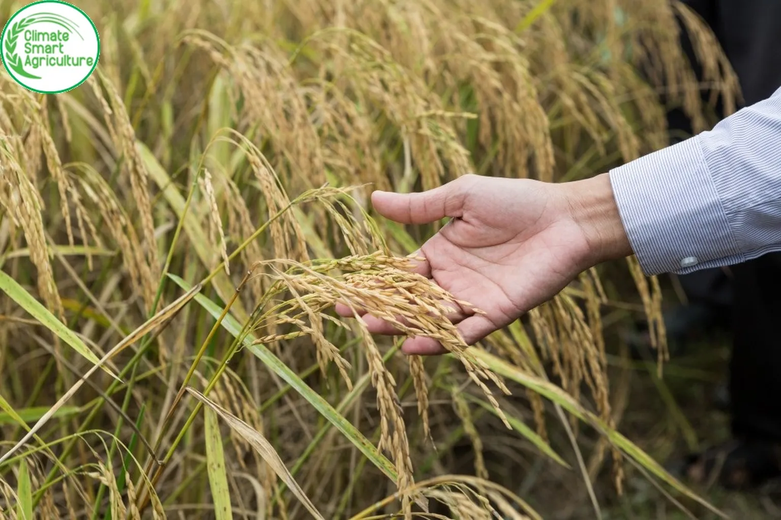 Vietnam Business Challenge Fund closes 3 years of creating lasting impact