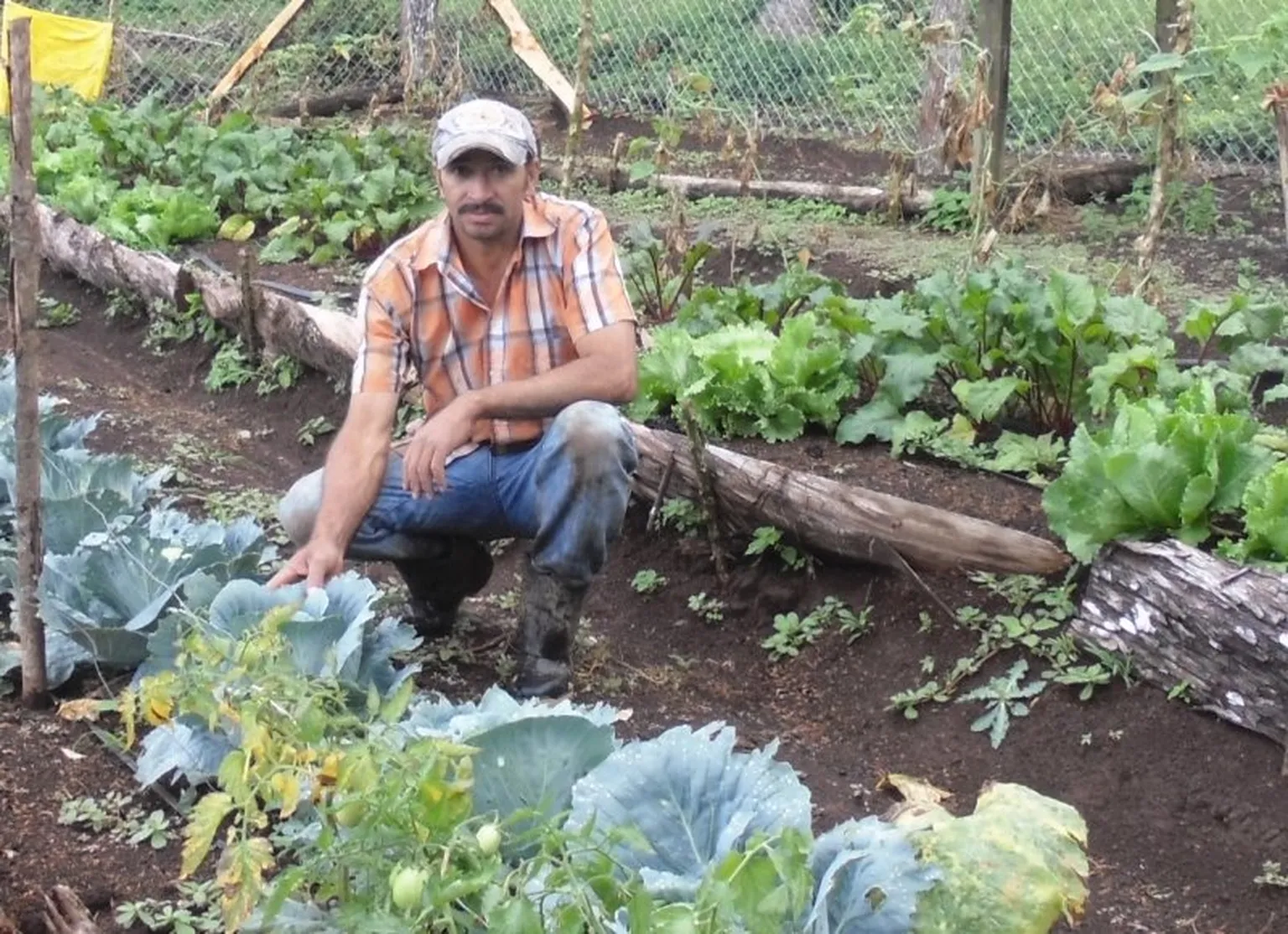 Socrates in the family kitchen garden.