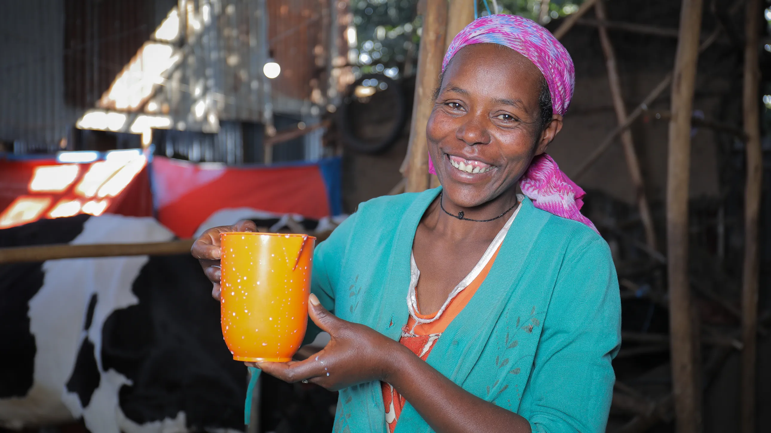Smiling woman in a colorful headscarf and cardigan holds an orange mug, with a cow in the background inside a barn.