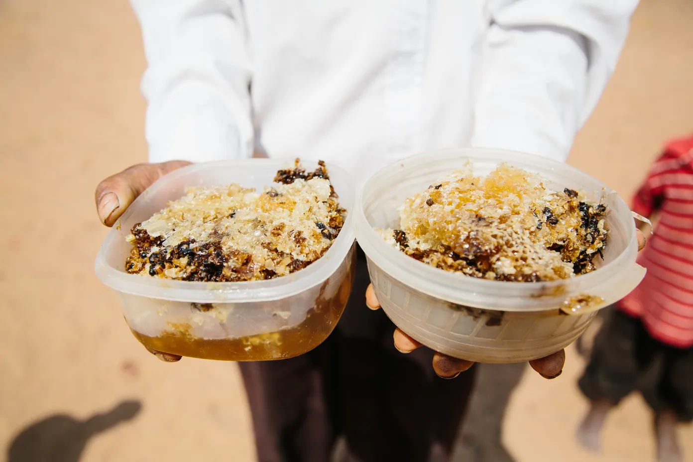 TIPEC-ZAS sponsors local honey processor to participate in BIOFACH 2014
