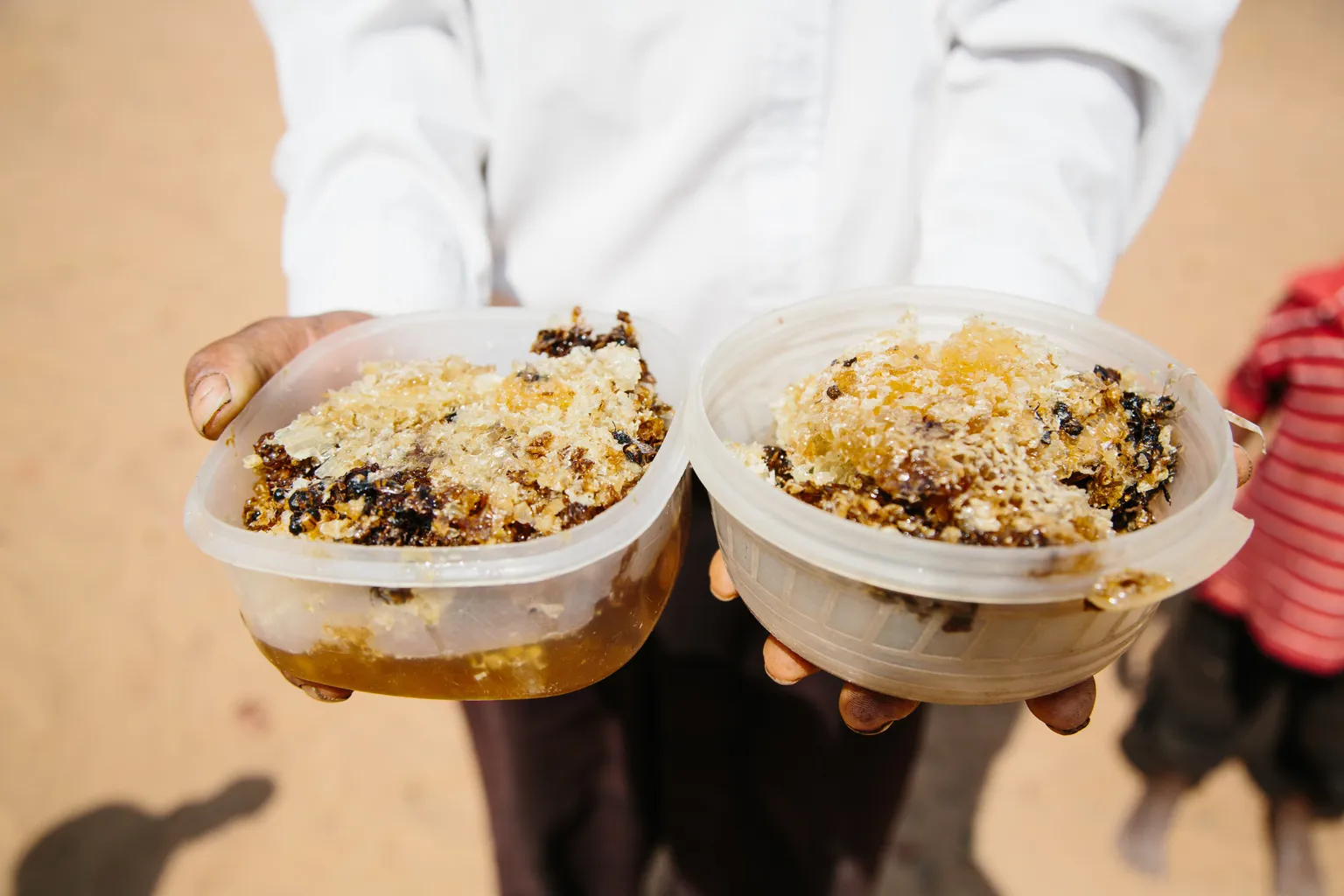 TIPEC-ZAS sponsors local honey processor to participate in BIOFACH 2014