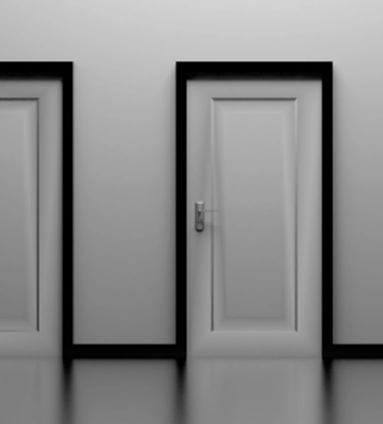Black and white doors