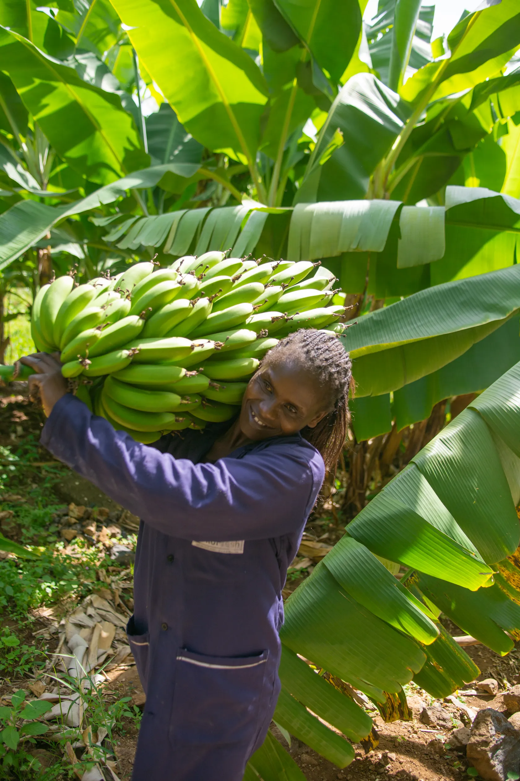 woman carrying bananas