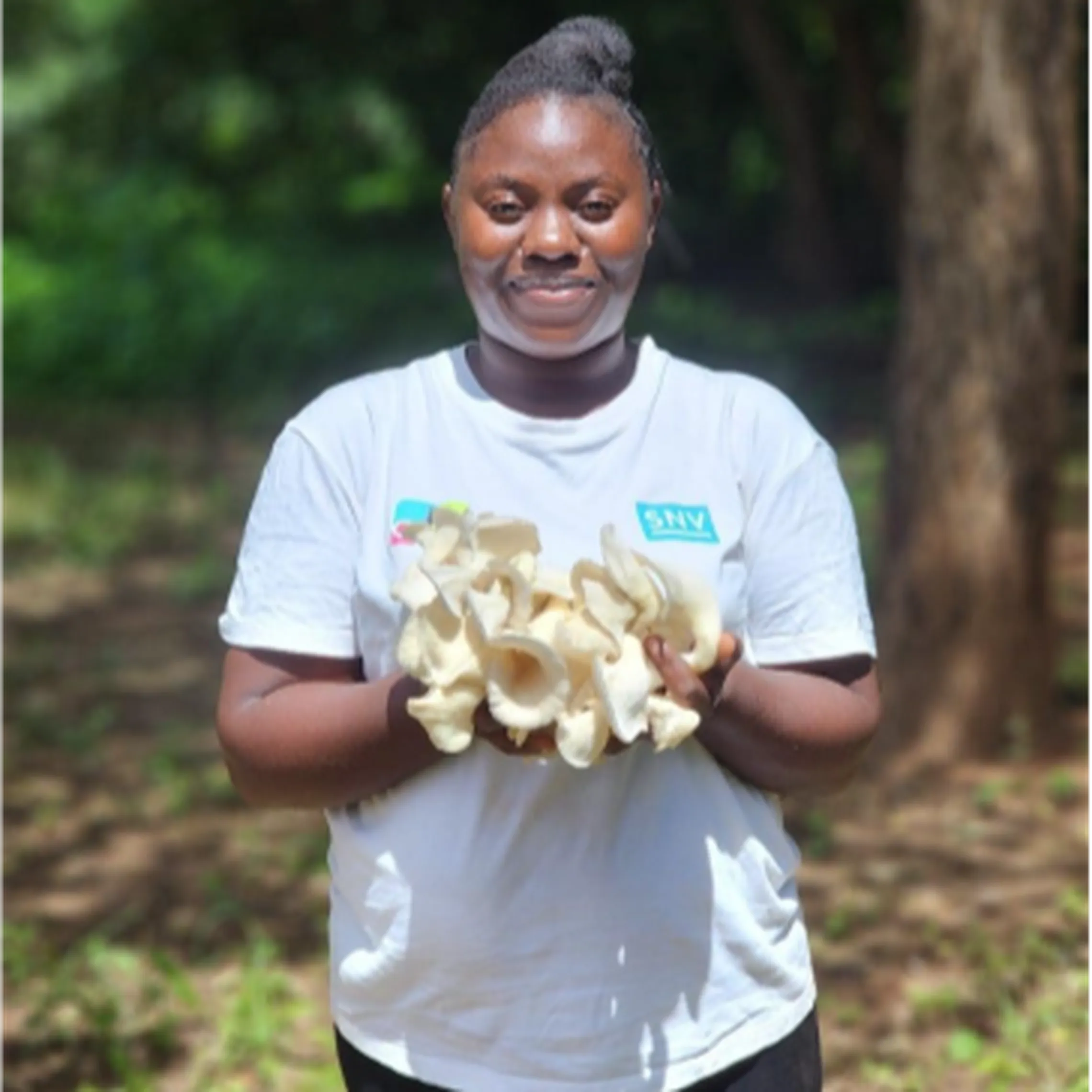 Zambia2