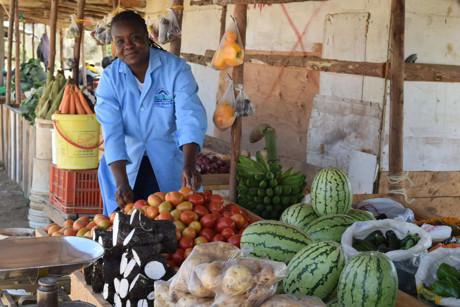 The development and implementation of gender-sensitive policies and laws, both at national and local levels, is crucial in achieving women’s economic empowerment. As representatives of female entrepreneurs and small-holder farmers, Civil Society Organisations (CSOs) have the potential to be key catalysts to improve the policy and legislative environment for women entrepreneurs in agriculture. In June 2017, SNV organised a workshop for CSO partners in Kenya to assess and increase their advocacy skills as wel