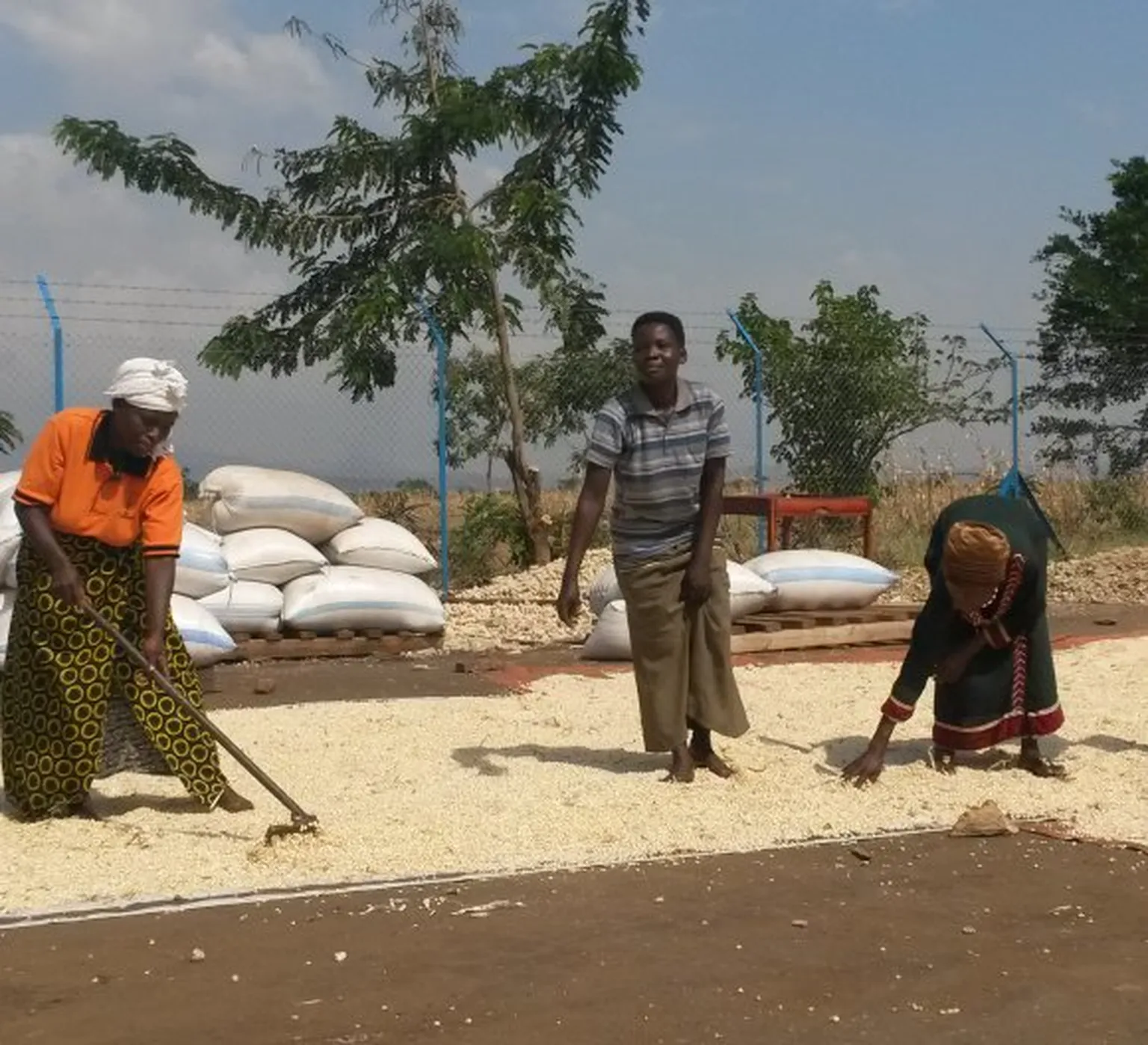 people soil
