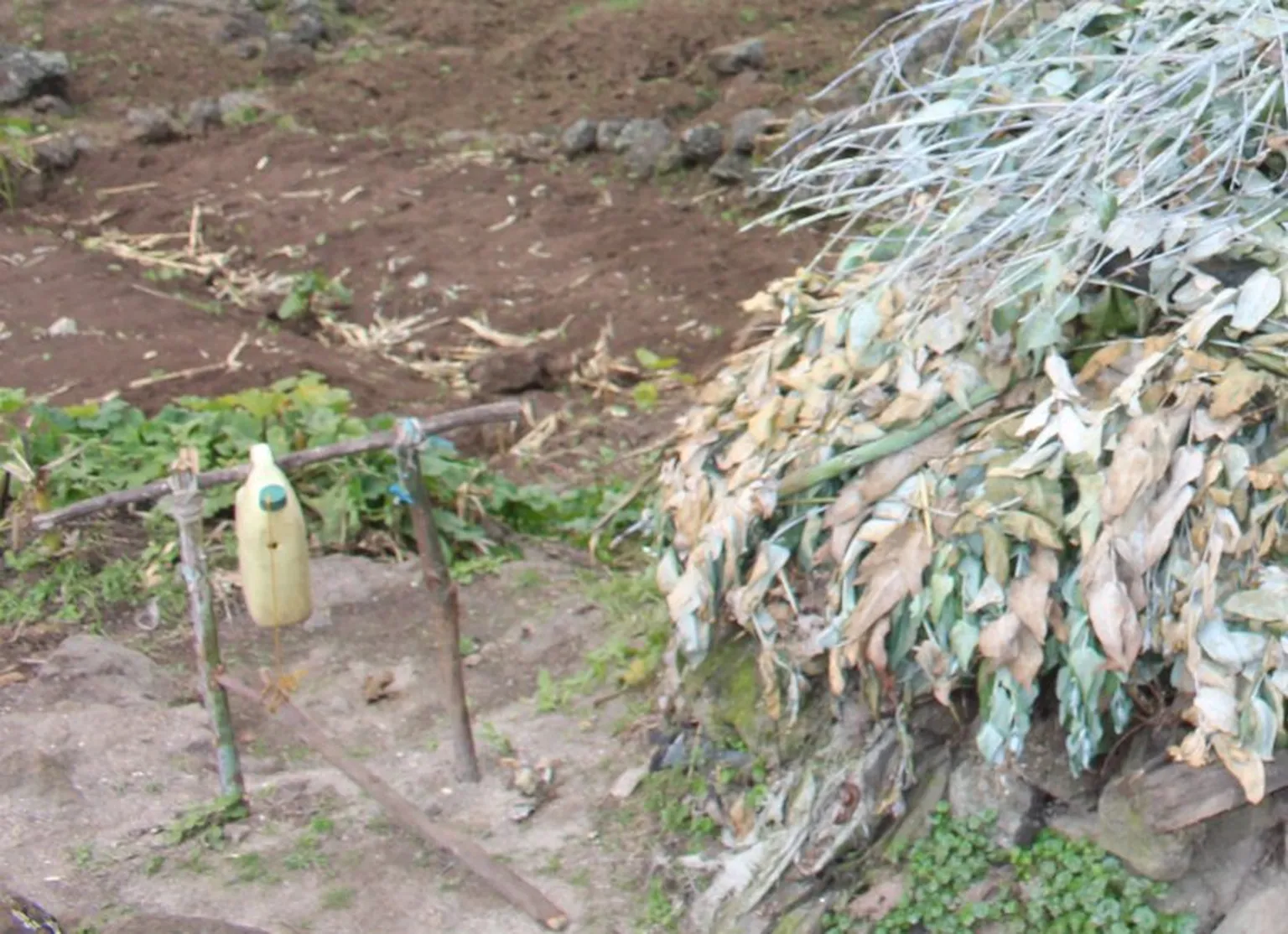Locally made hand washing station