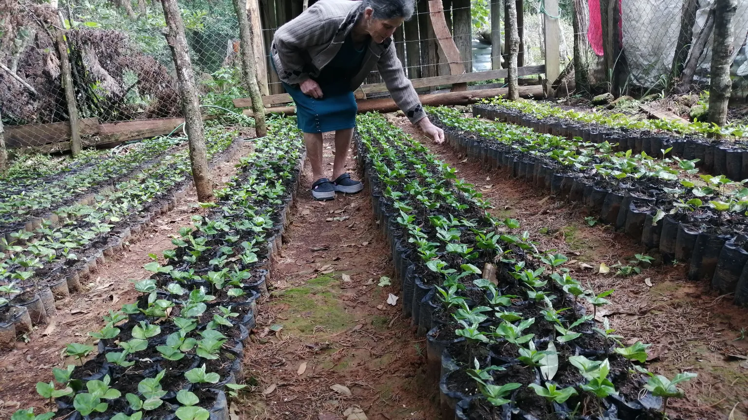 Women prepared to face climate change with better production practices